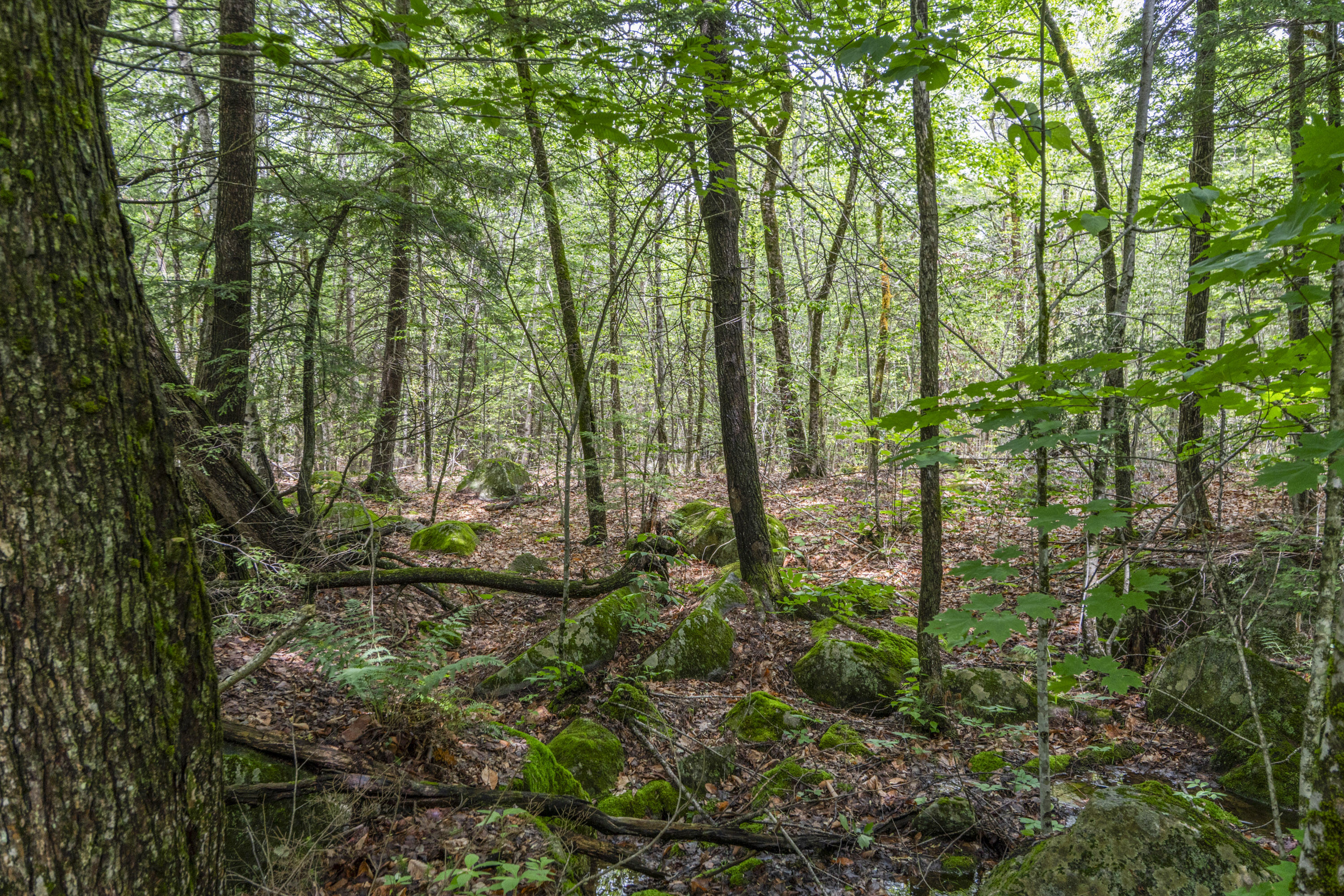 Lot17-30-1 Howland Hill Road Property Photo 27