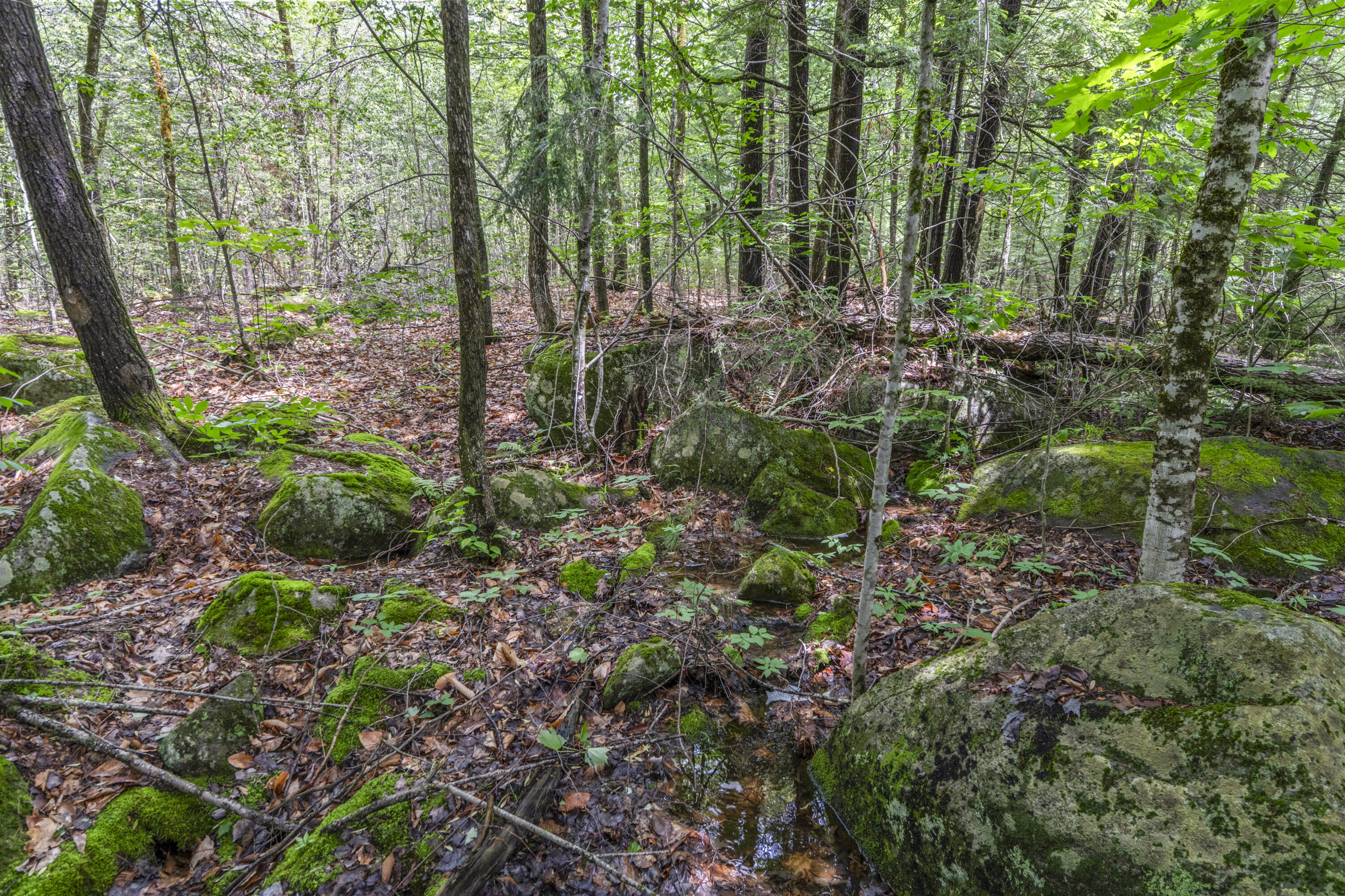 Lot17-30-1 Howland Hill Road Property Photo 28