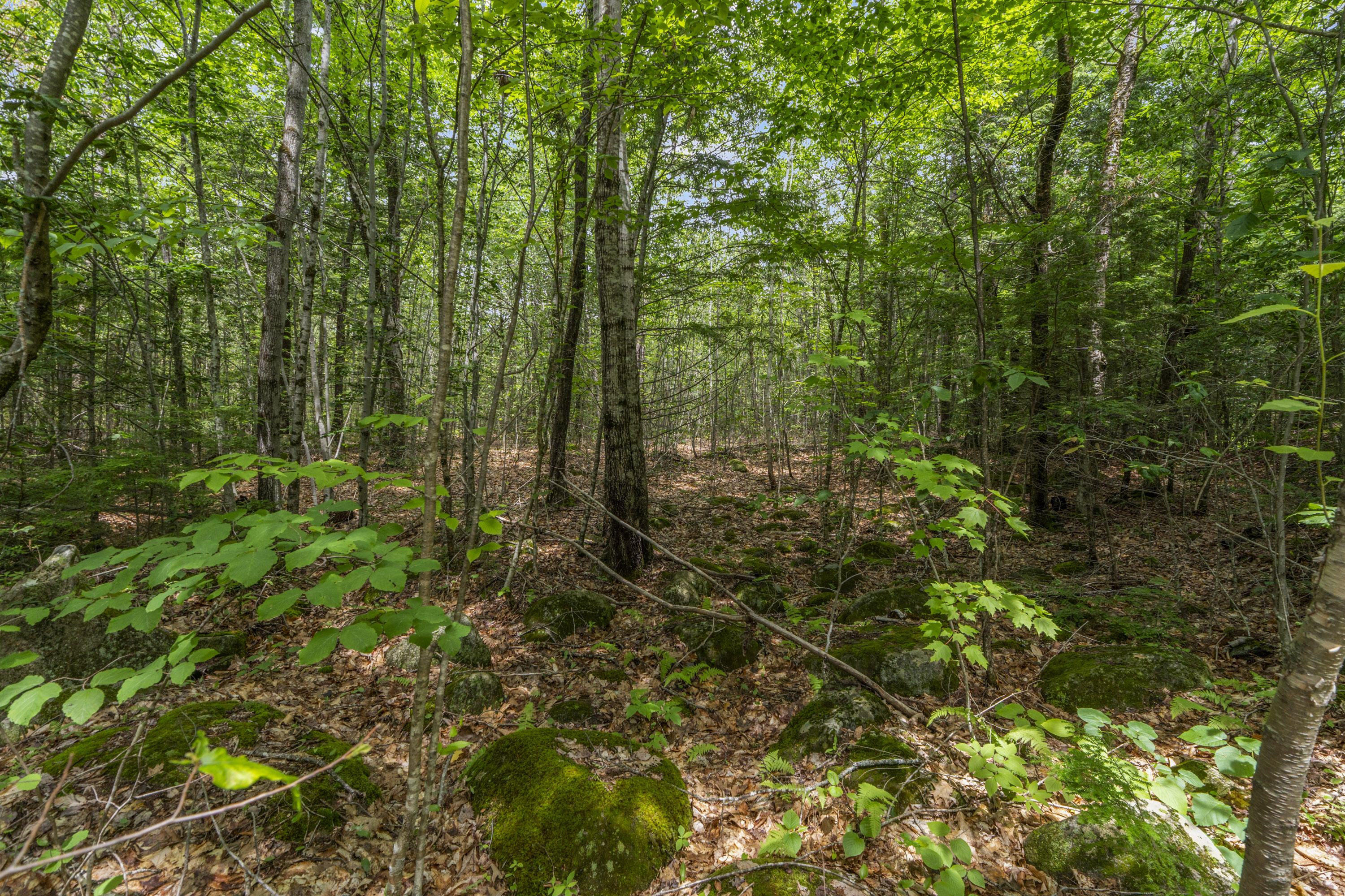 Lot17-30-1 Howland Hill Road Property Photo 29