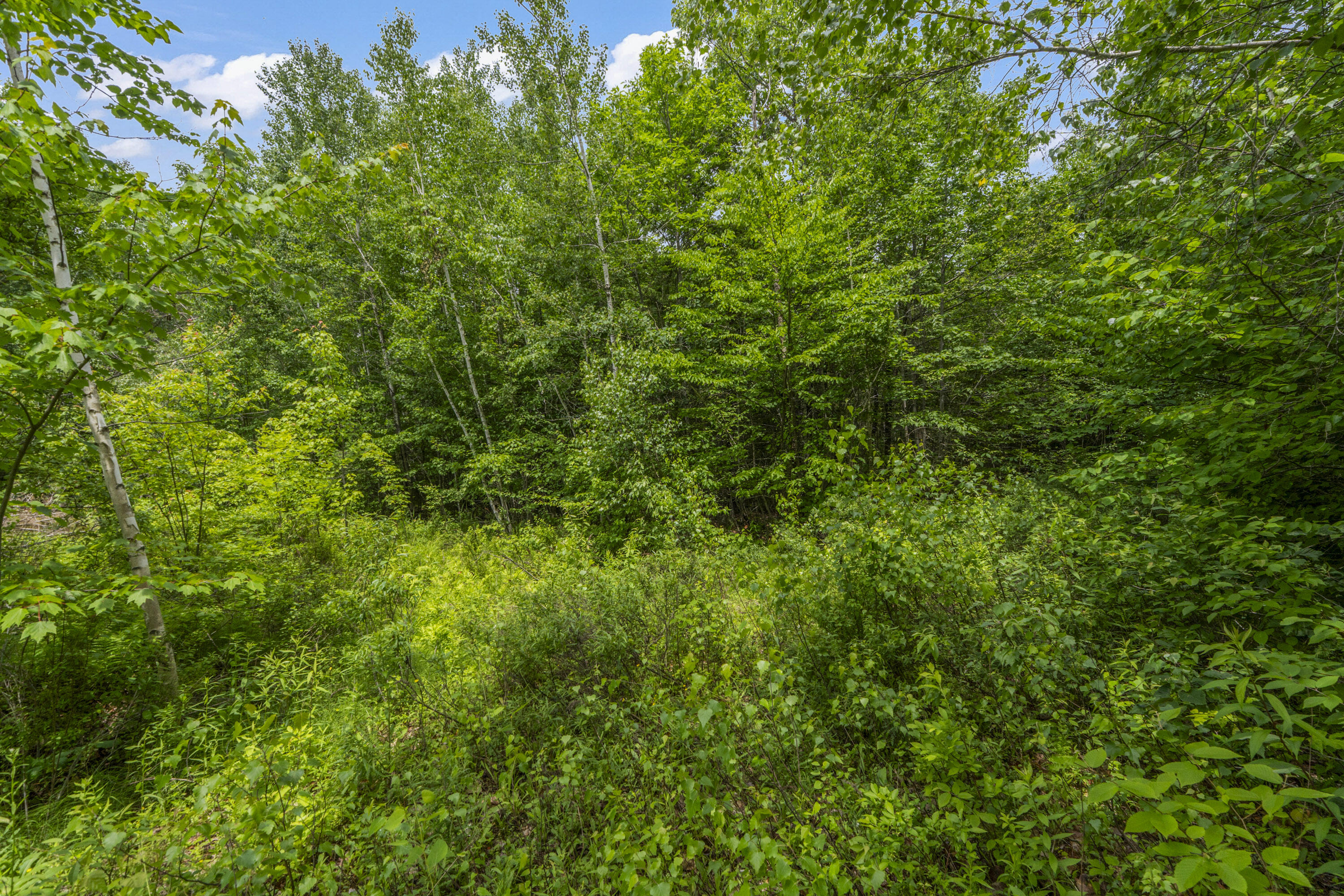 Lot17-30-1 Howland Hill Road Property Photo 30
