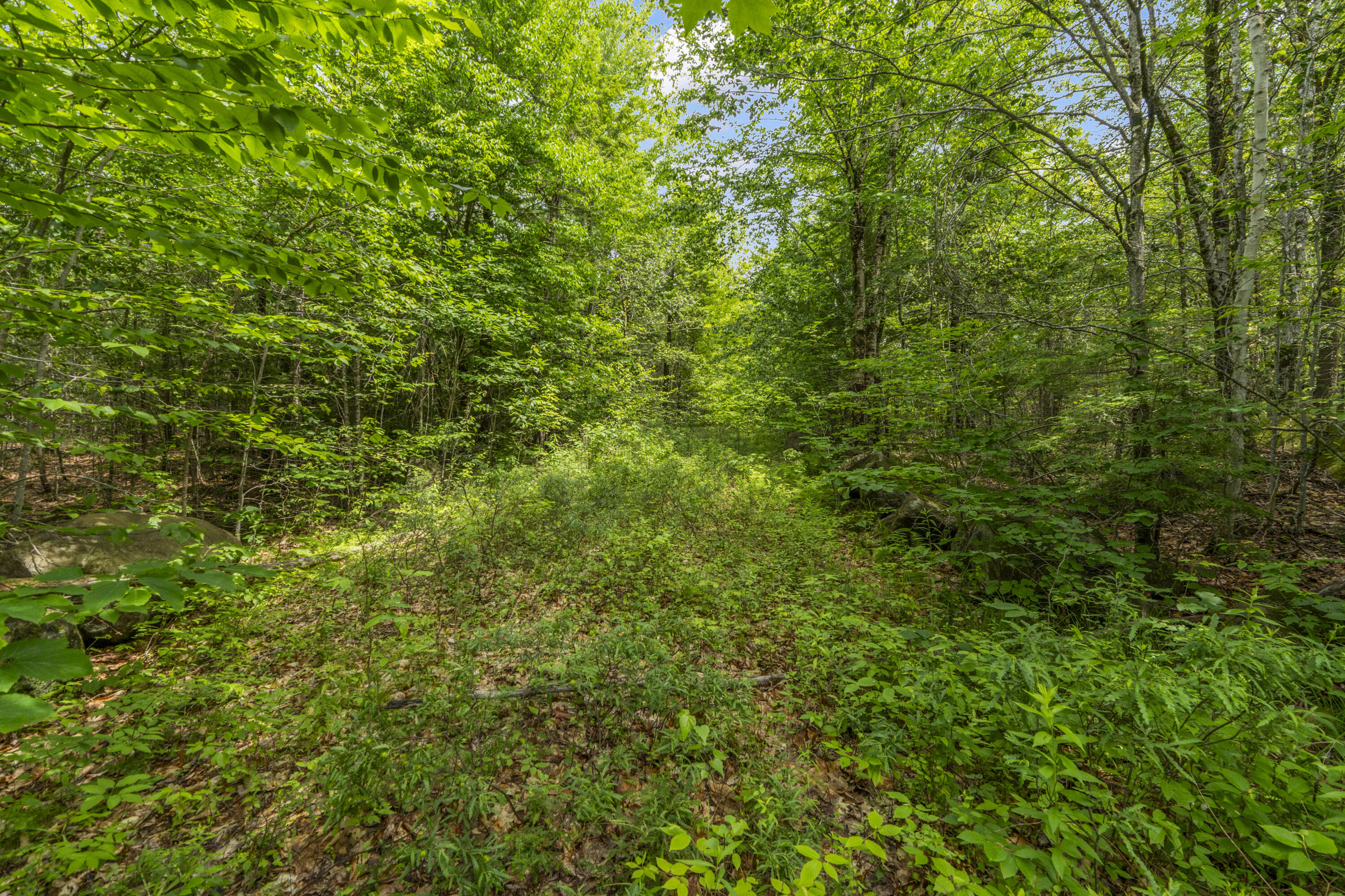 Lot17-30-1 Howland Hill Road Property Photo 31
