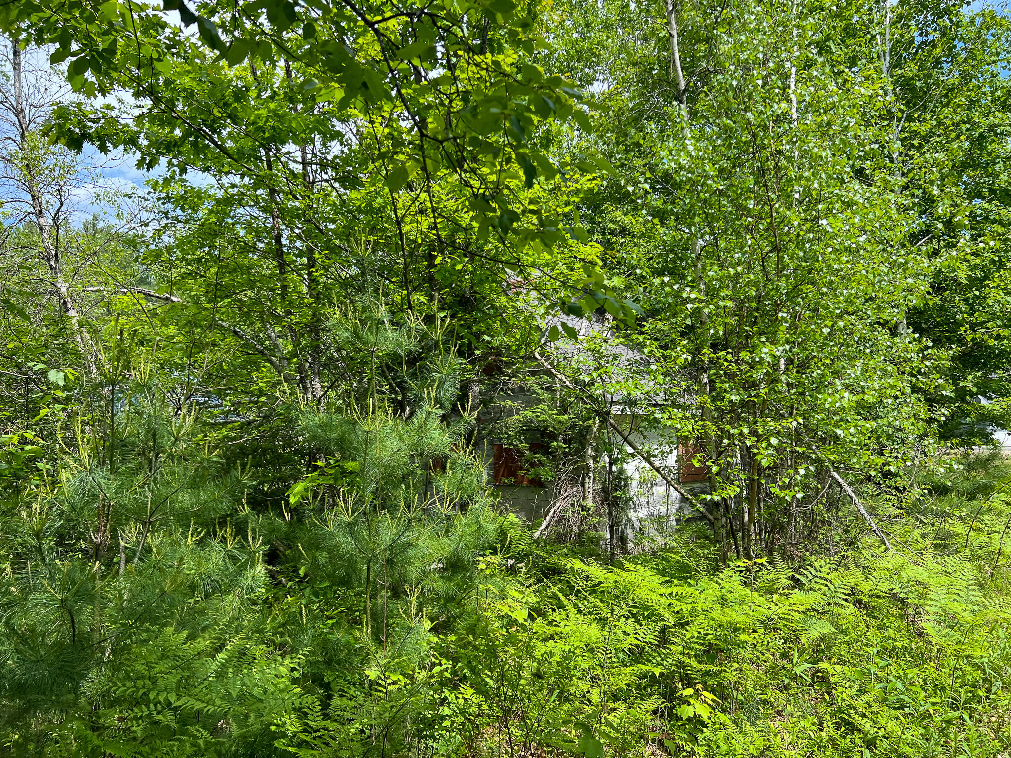 128 Common Road Property Photo 3