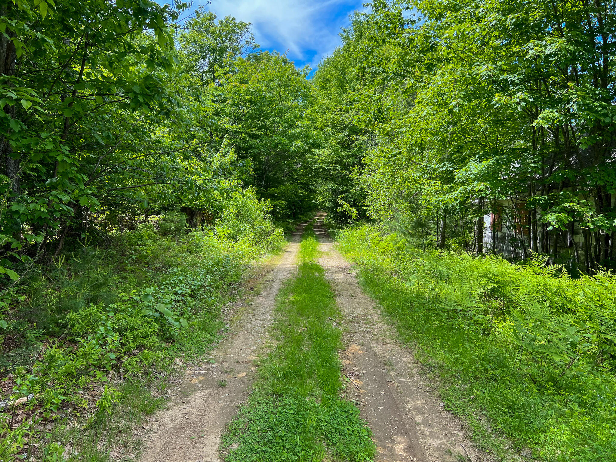128 Common Road Property Photo 4