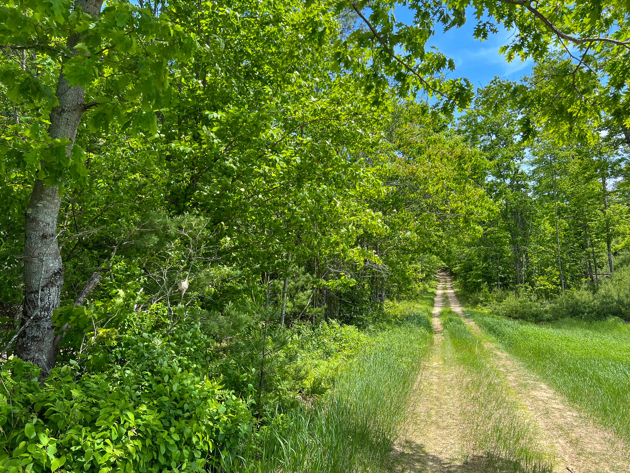 128 Common Road Property Photo 5