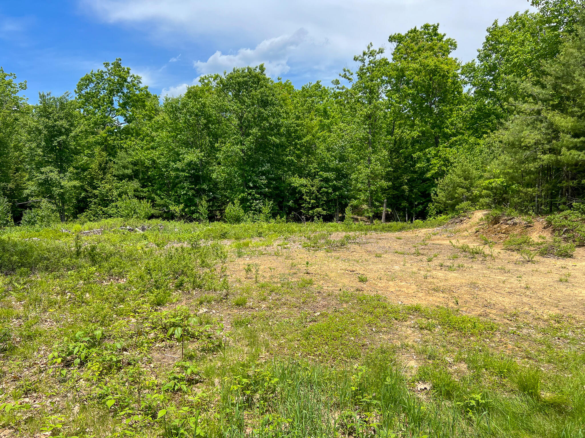 128 Common Road Property Photo 8