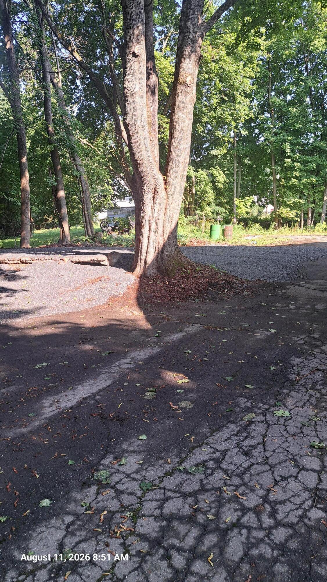 9 School Street Property Photo 55