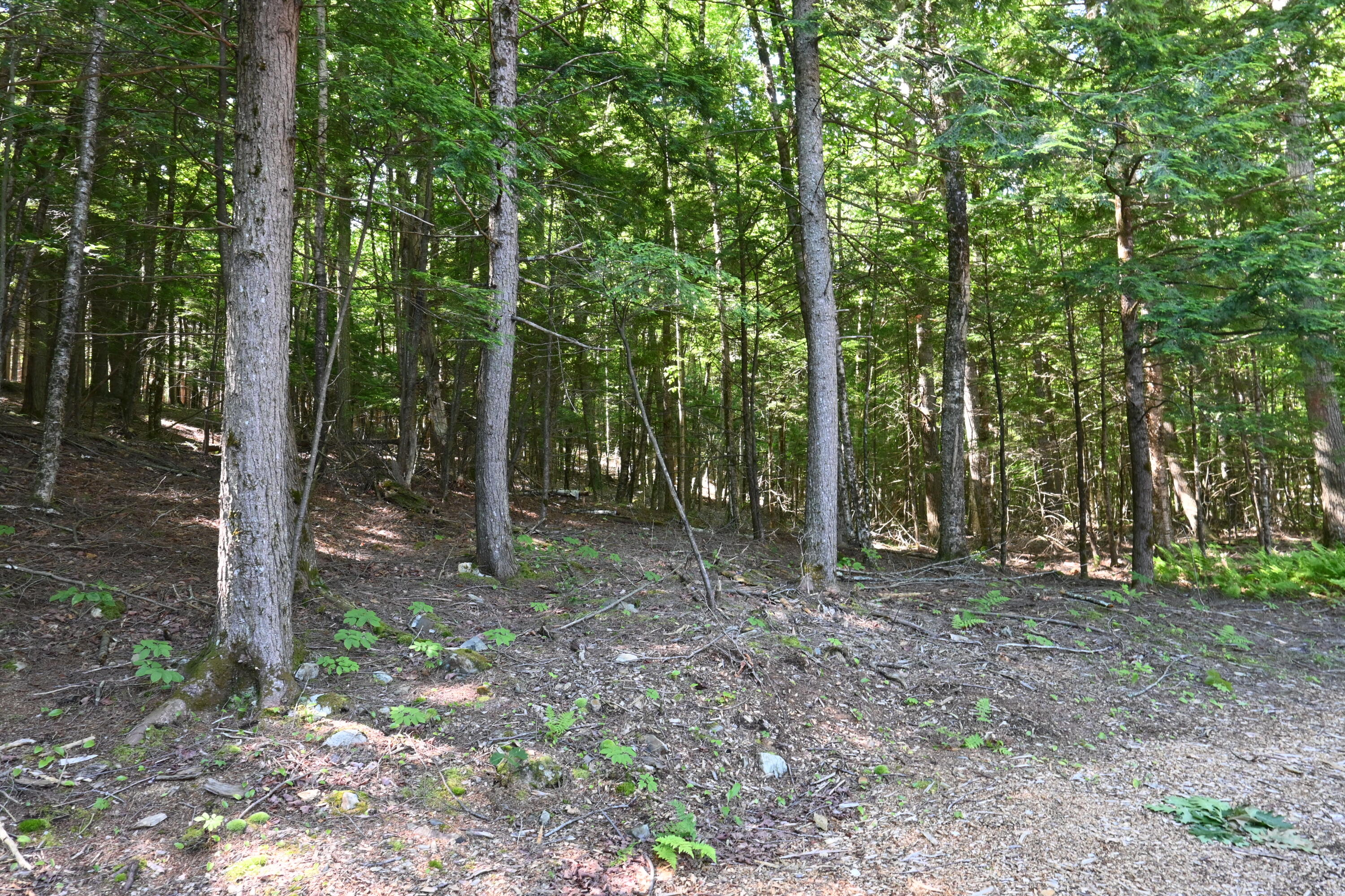 Po M11 L46 Woodcock Lane Property Photo 3