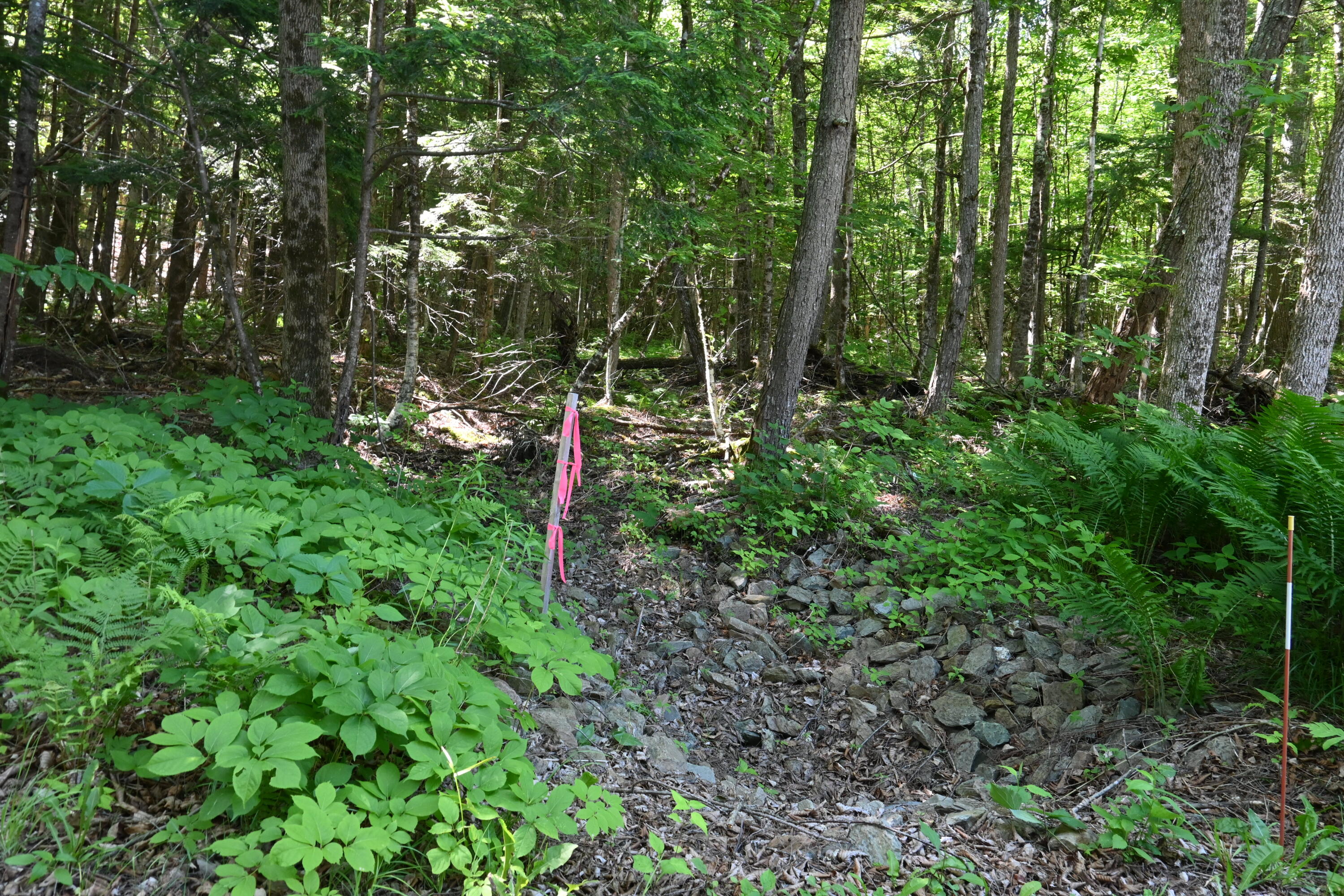 Po M11 L46 Woodcock Lane Property Photo 4