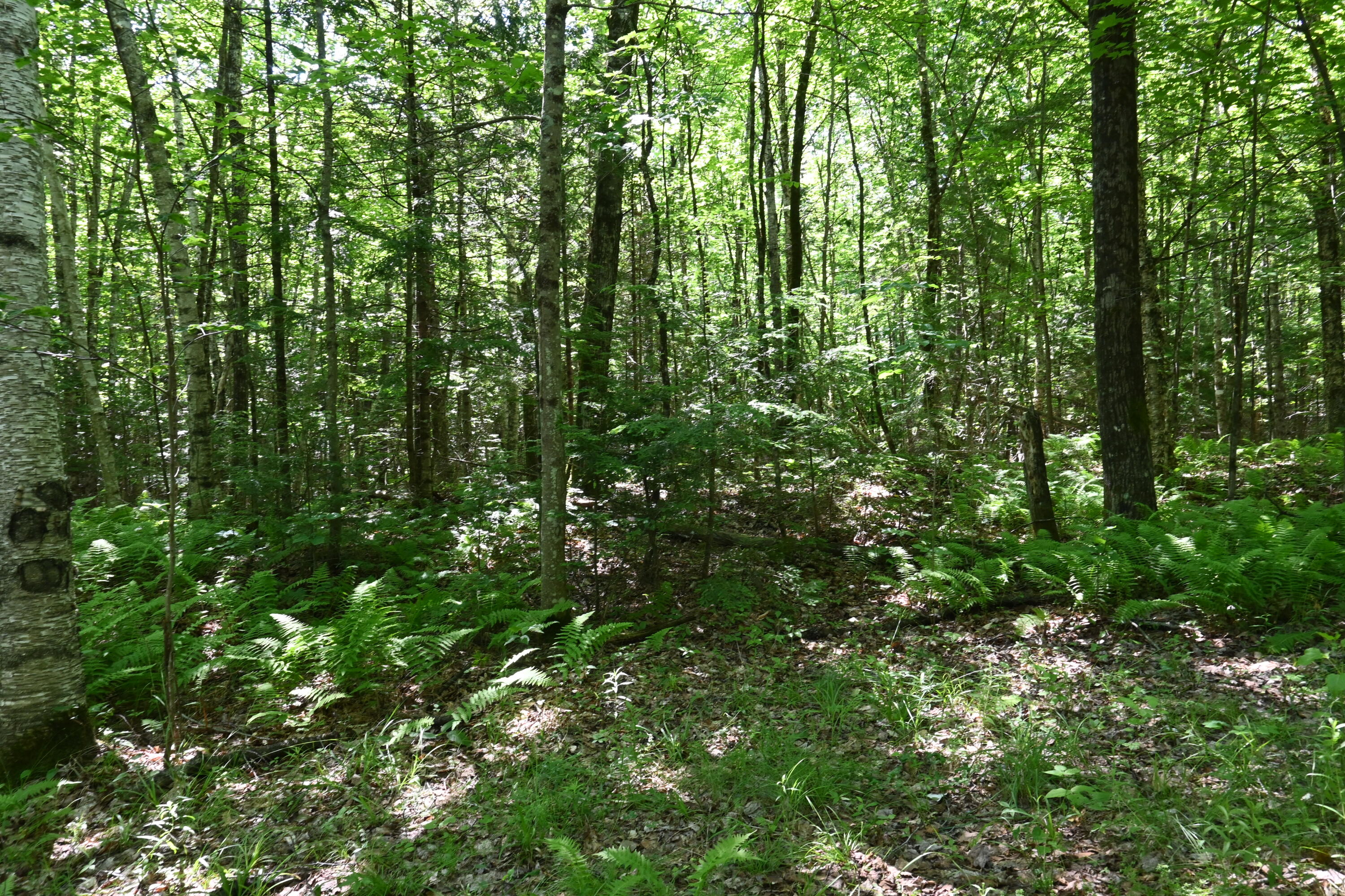 Po M11 L46 Woodcock Lane Property Photo 6
