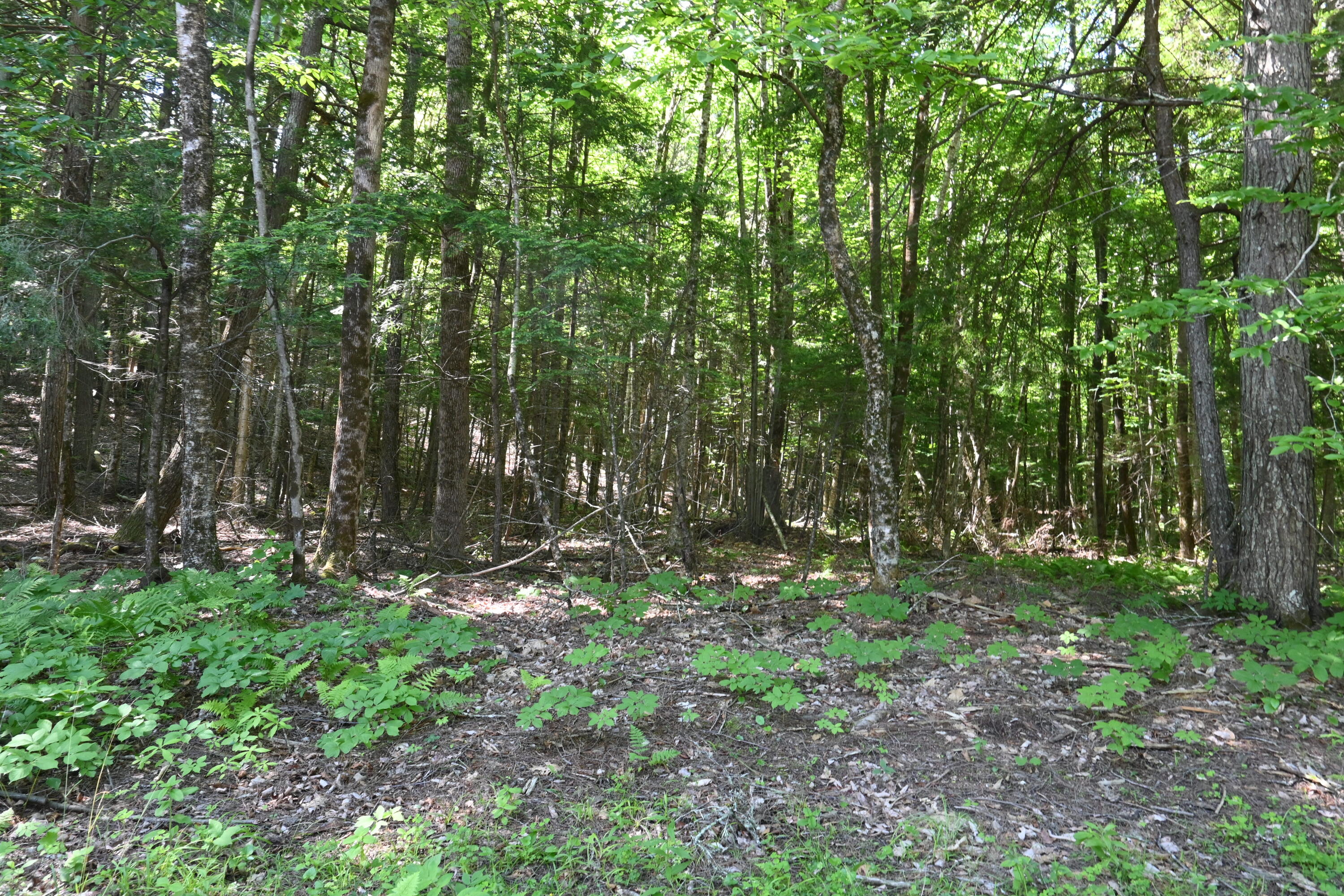 Po M11 L46 Woodcock Lane Property Photo 7