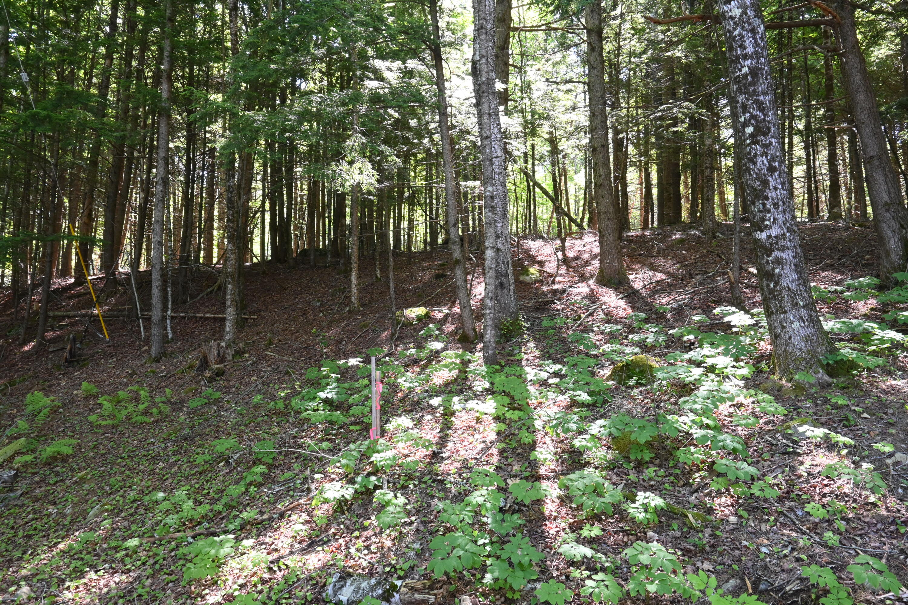 Po M11 L46 Woodcock Lane Property Photo 8