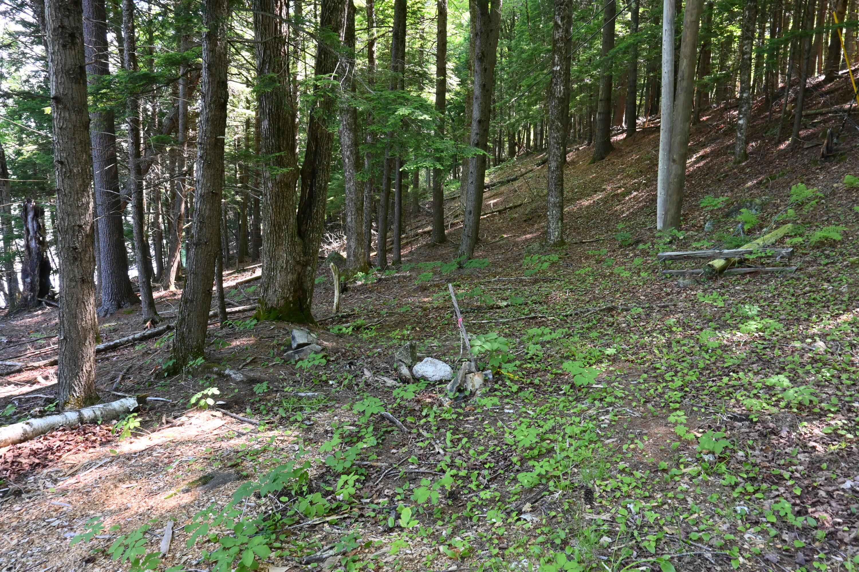 Po M11 L46 Woodcock Lane Property Photo 9