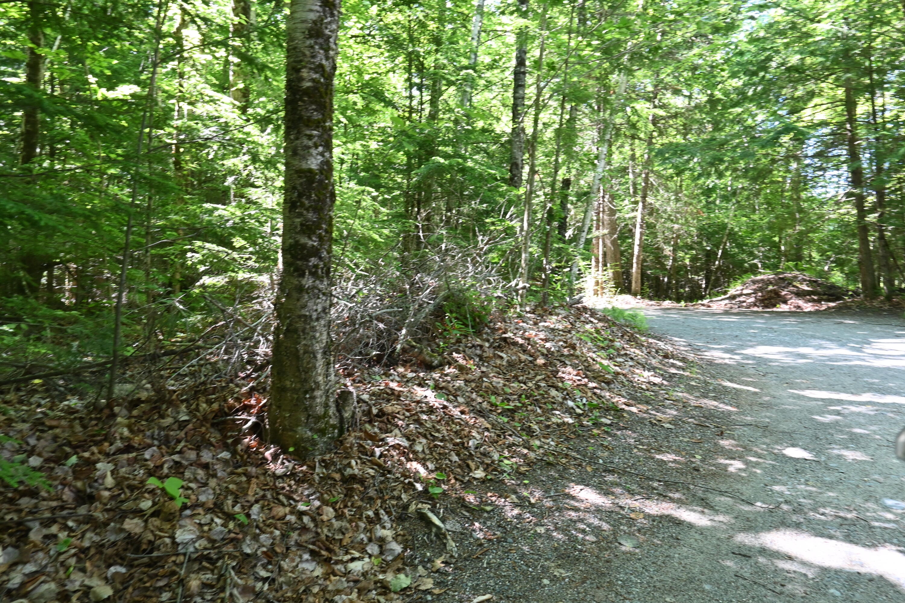 Po M11 L46 Woodcock Lane Property Photo 11