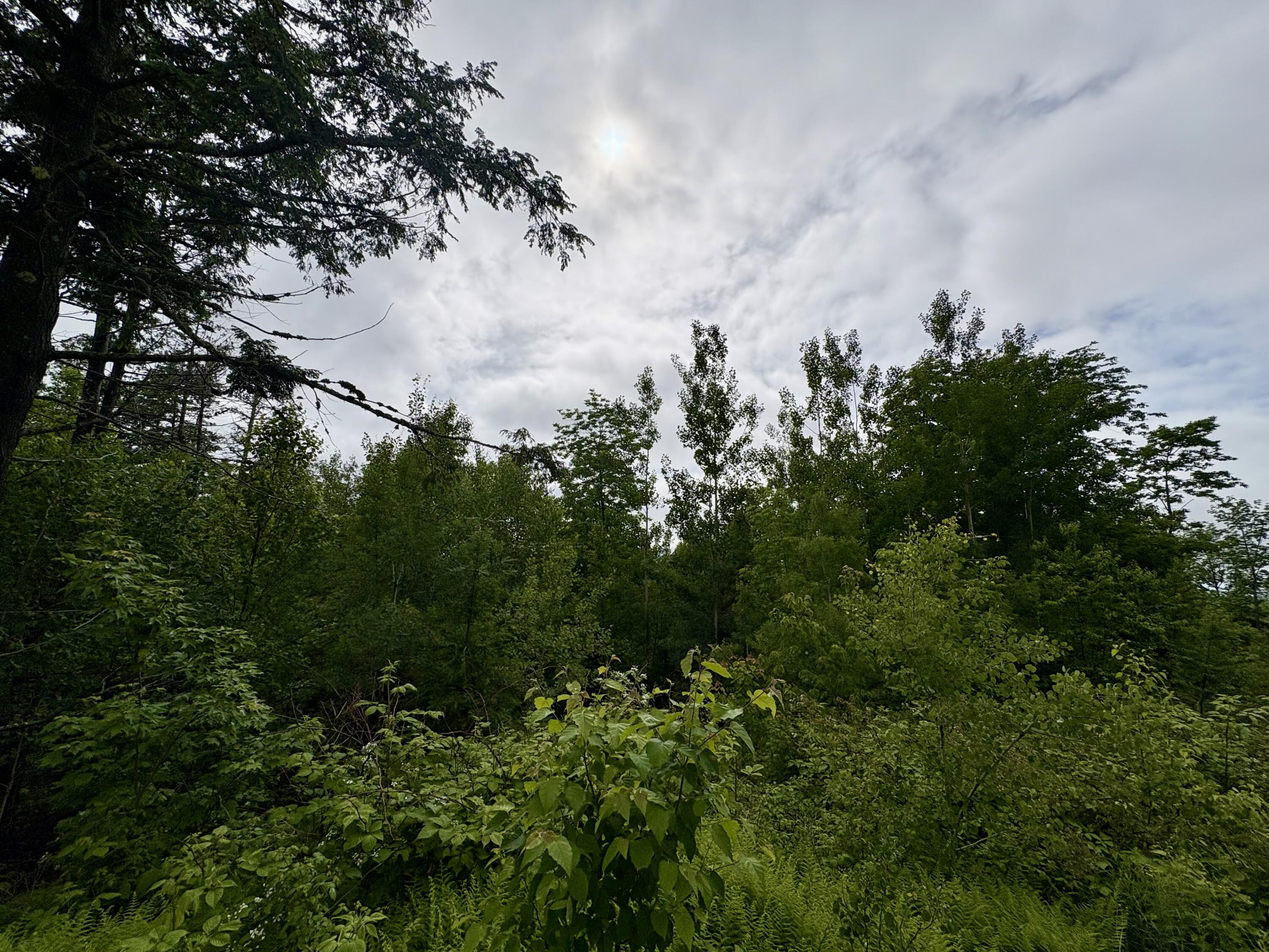 Lot 11 Mt. Jefferson Heights Property Photo 3