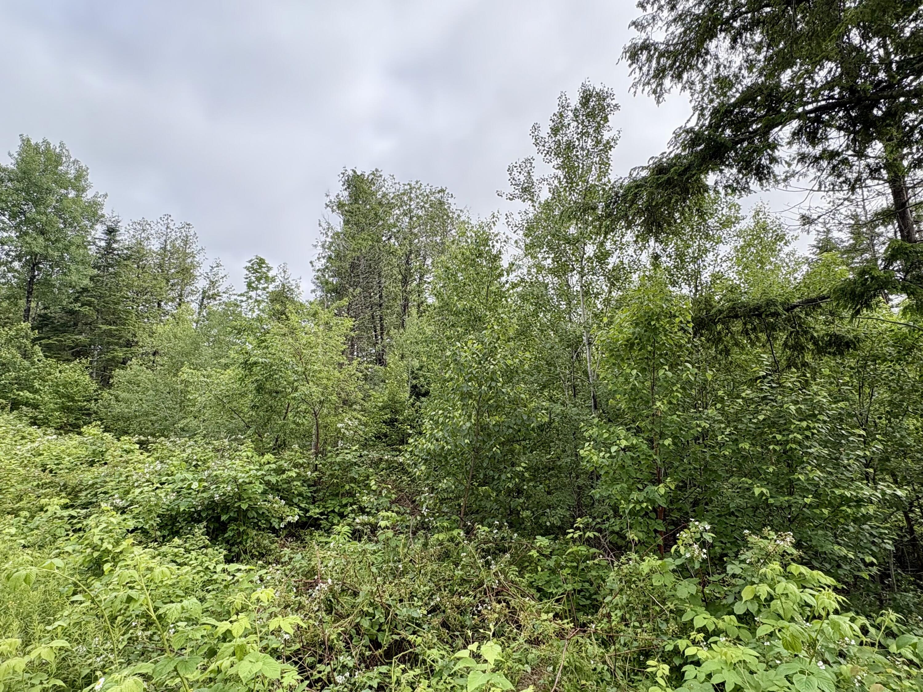 Lot 11 Mt. Jefferson Heights Property Photo 4