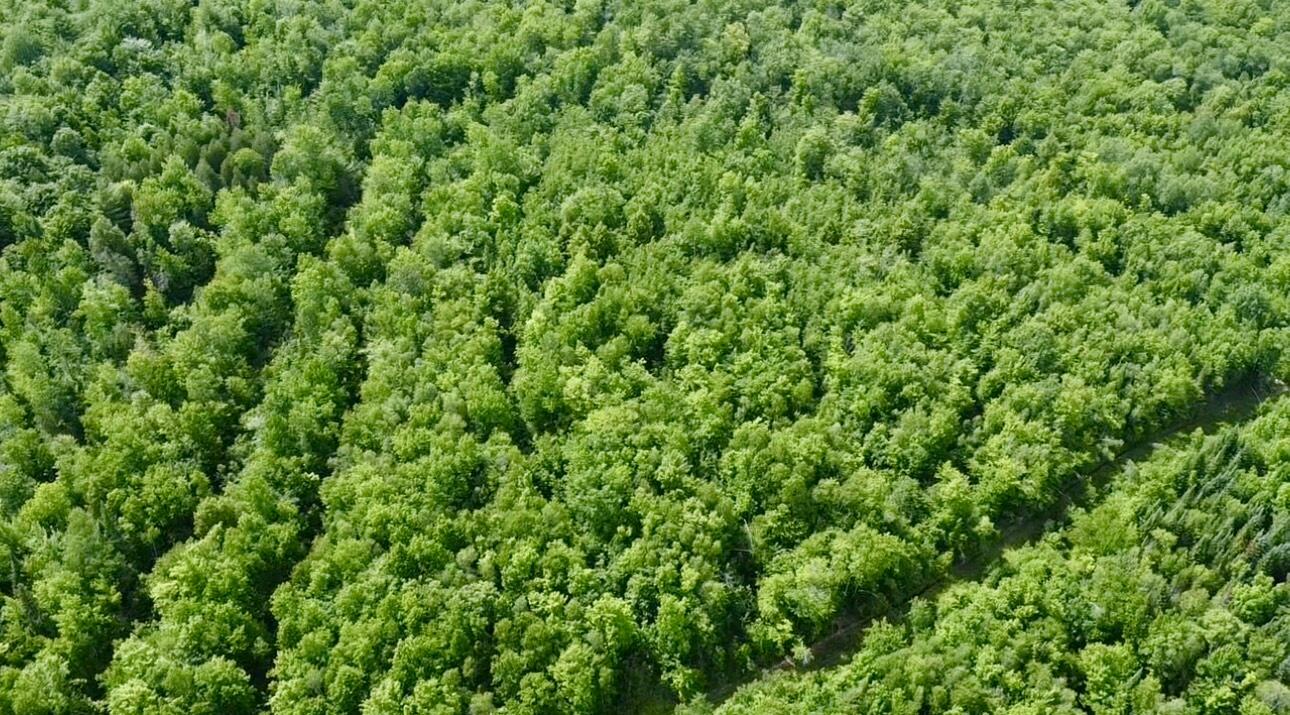 Lots 25-27 Freedom Way Lane Property Photo 10