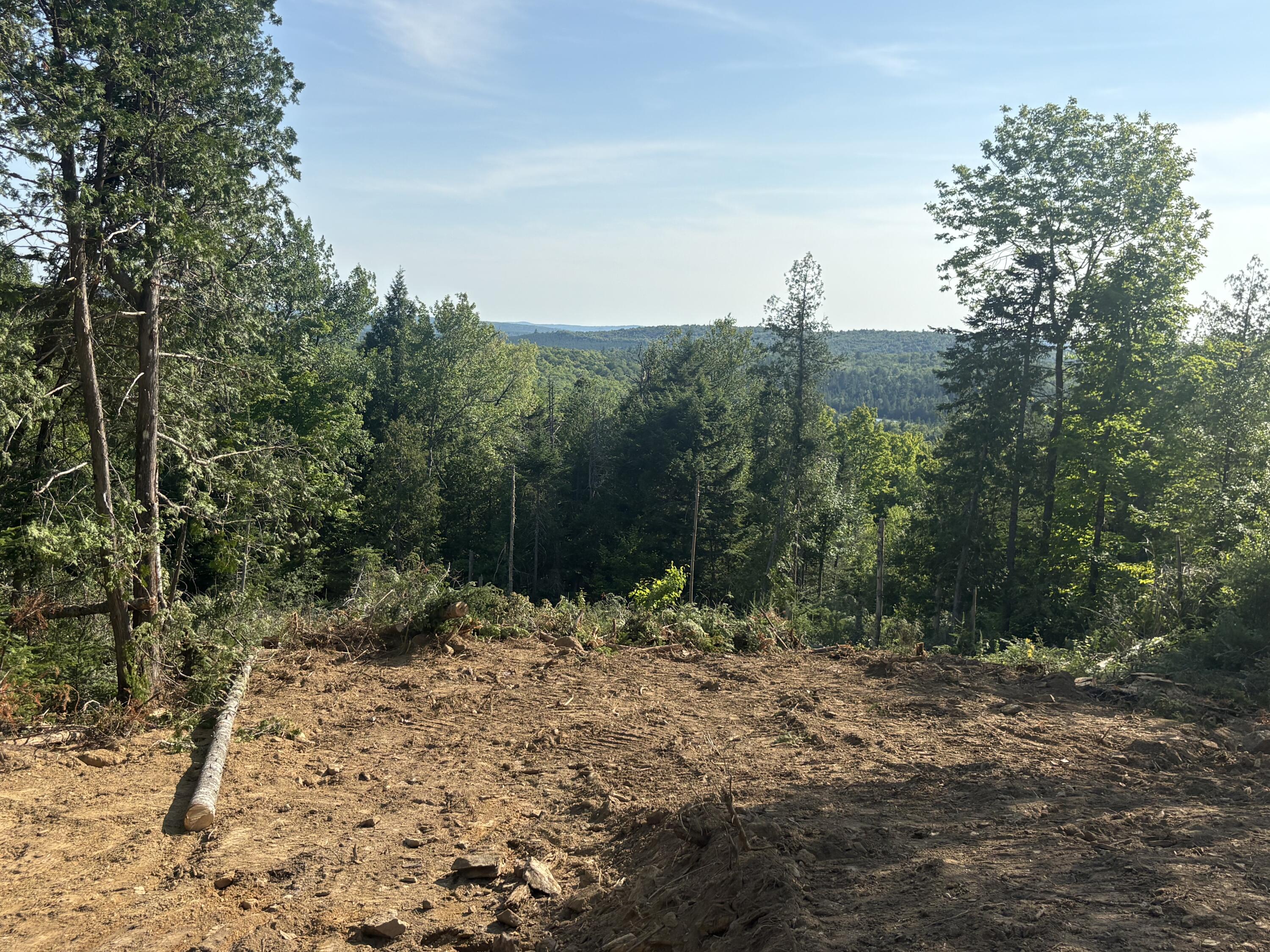 Lot 12 Mt. Jefferson Heights Property Photo 2