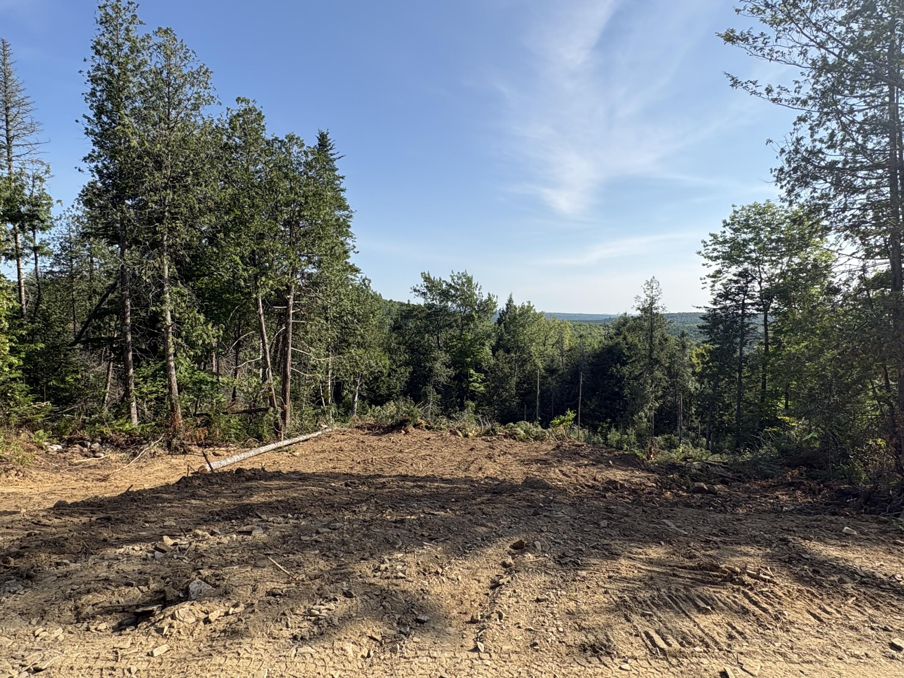 Lot 12 Mt. Jefferson Heights Property Photo 4