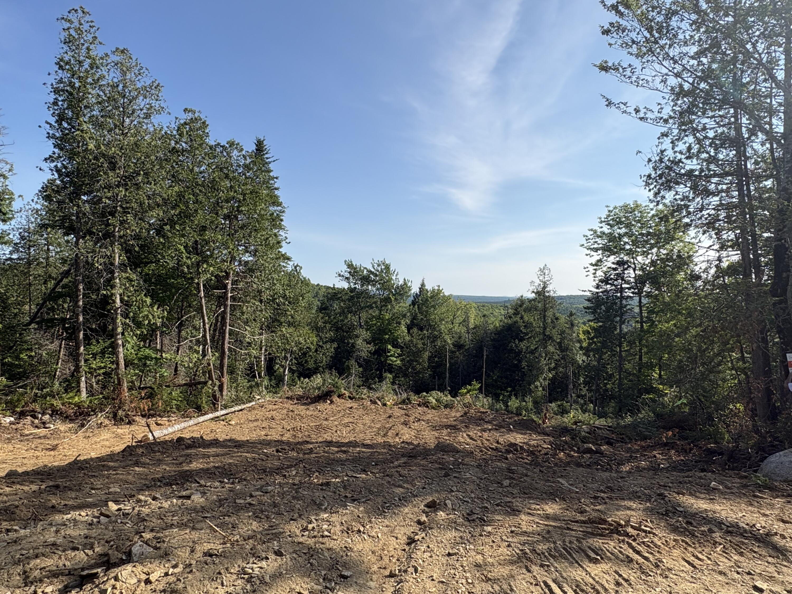 Lot 12 Mt. Jefferson Heights Property Photo 5