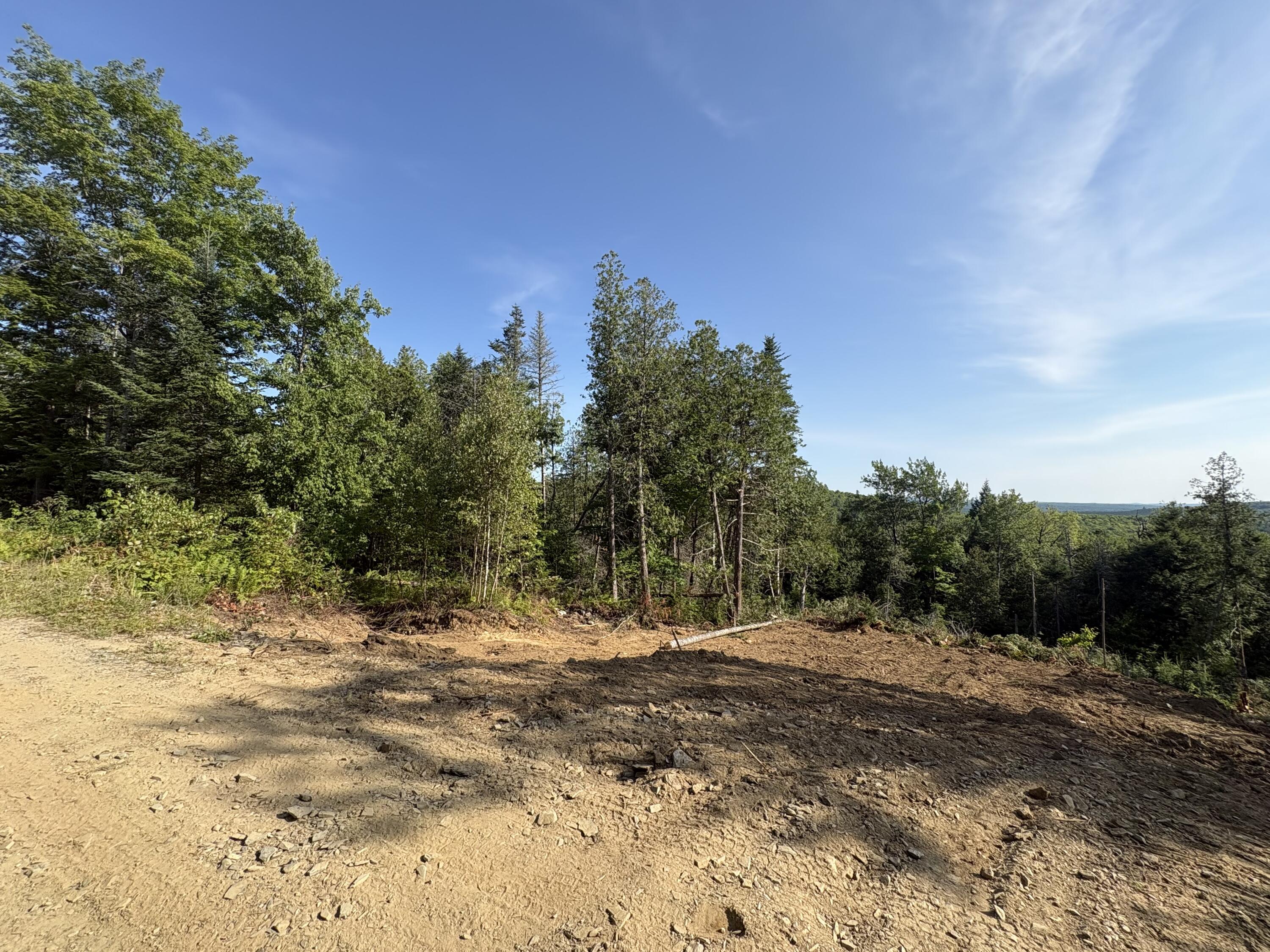 Lot 12 Mt. Jefferson Heights Property Photo 6