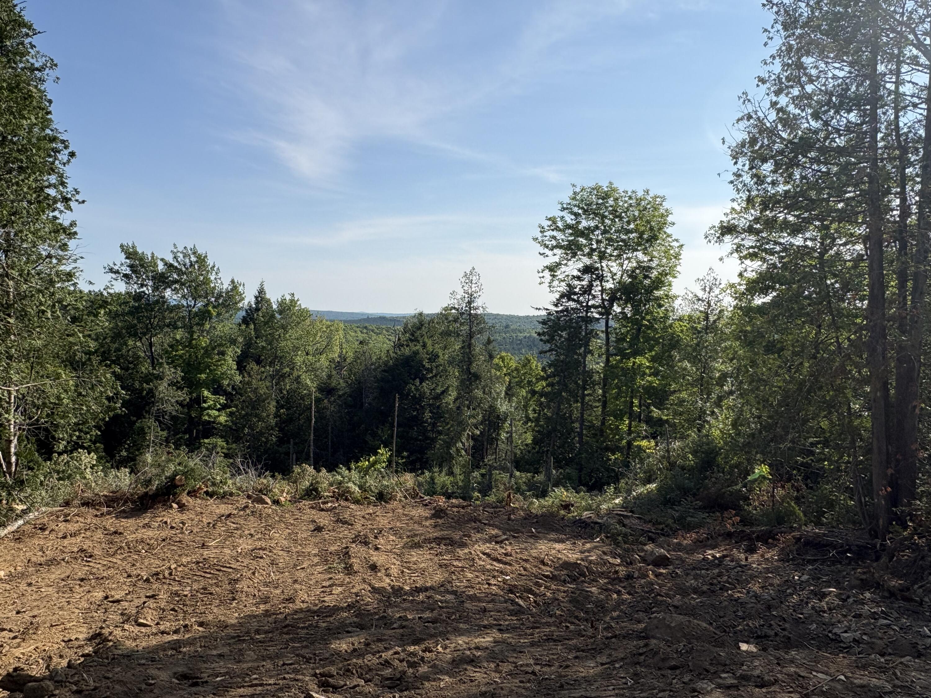 Lot 12 Mt. Jefferson Heights Property Photo 8