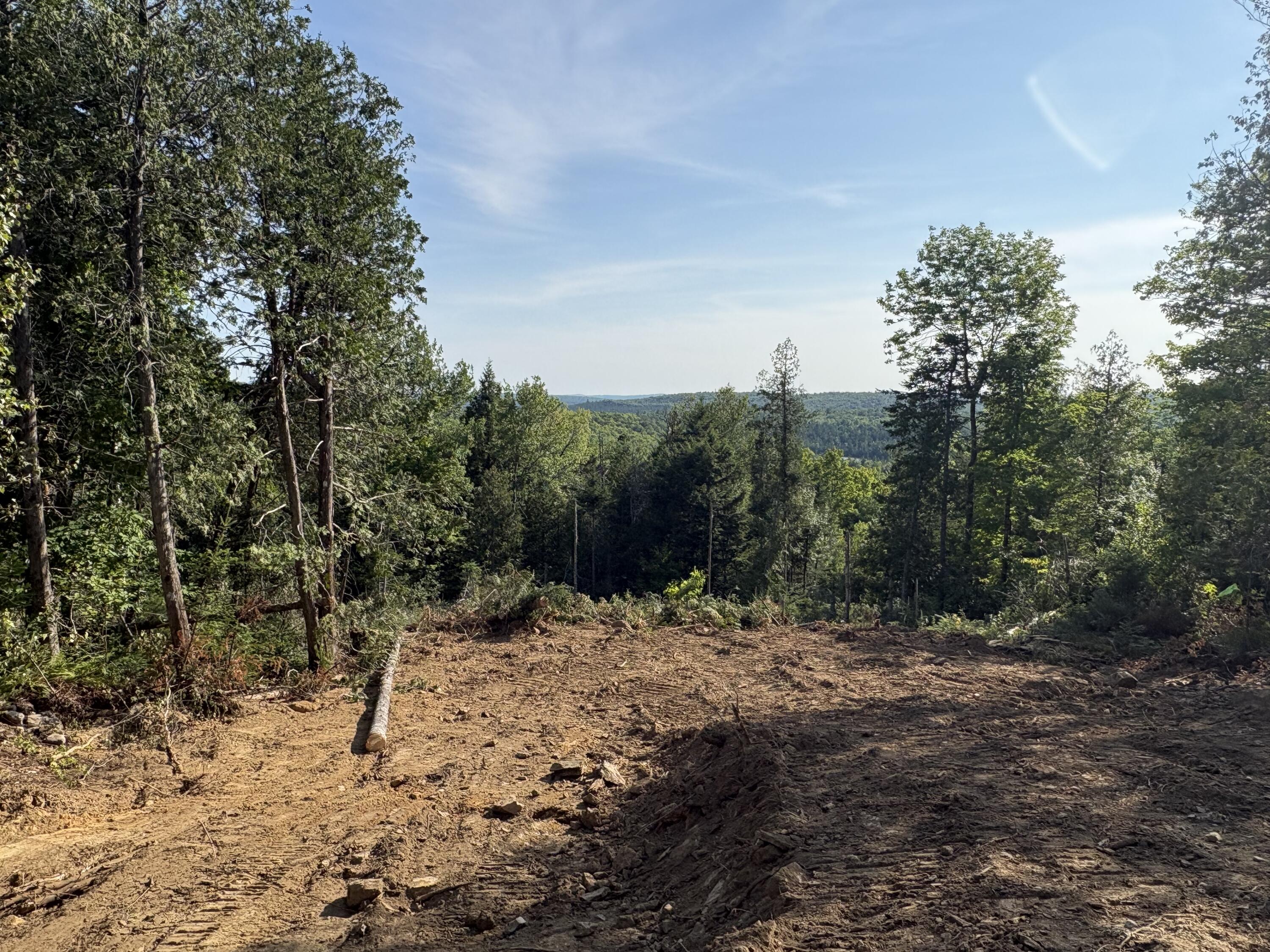 Lot 12 Mt. Jefferson Heights Property Photo 9