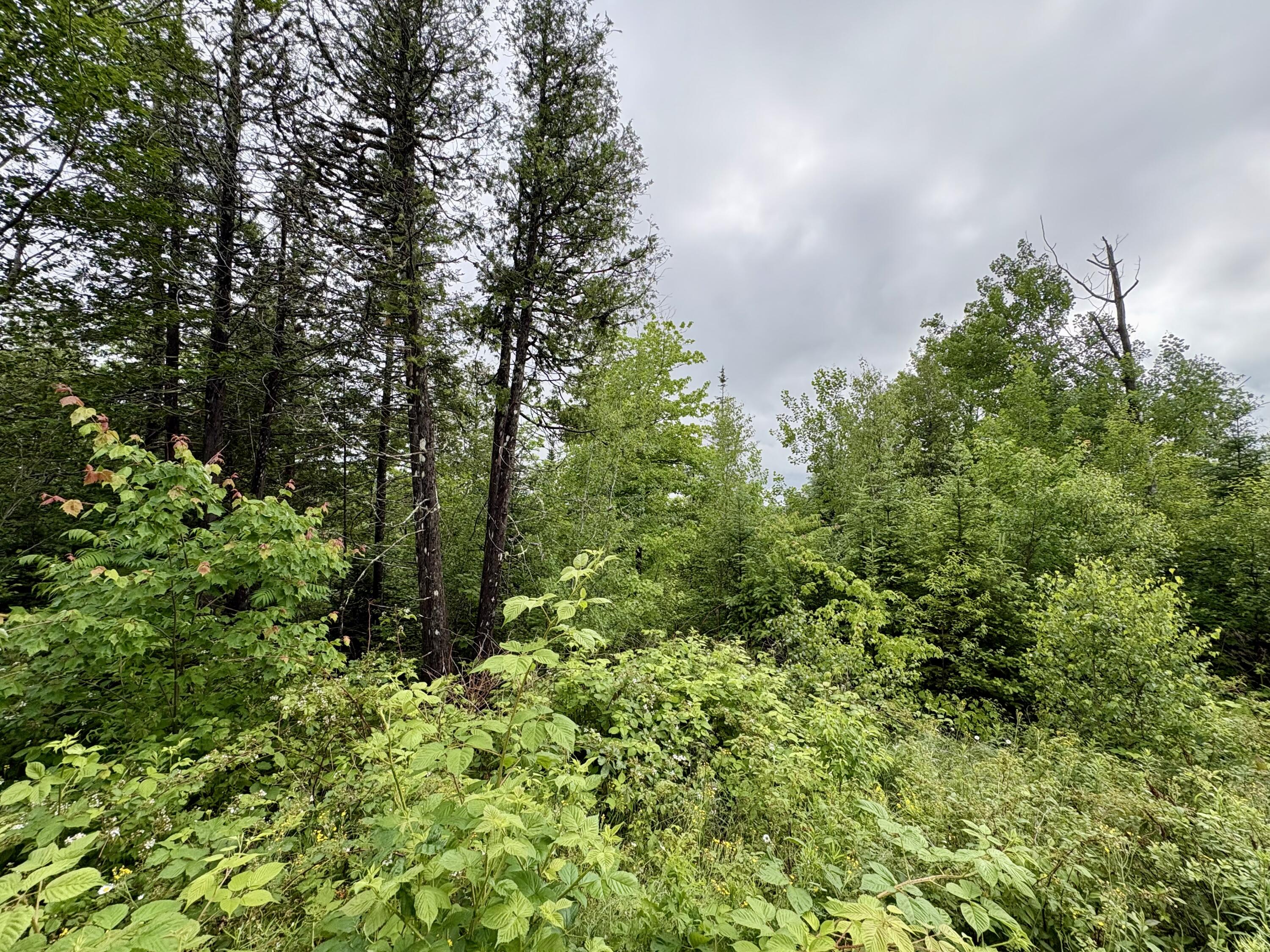 Lot 12 Mt. Jefferson Heights Property Photo 10