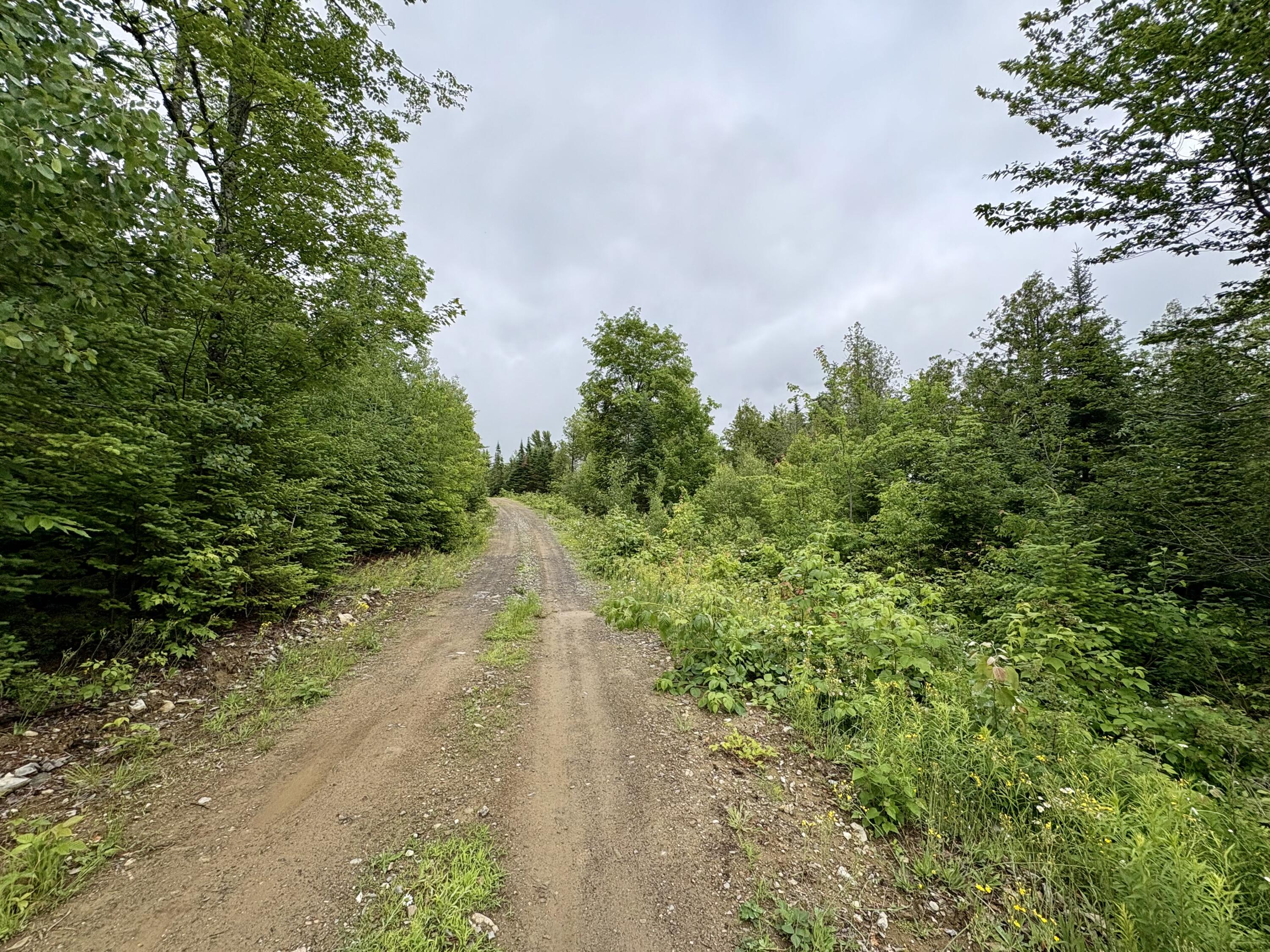 Lot 12 Mt. Jefferson Heights Property Photo 11
