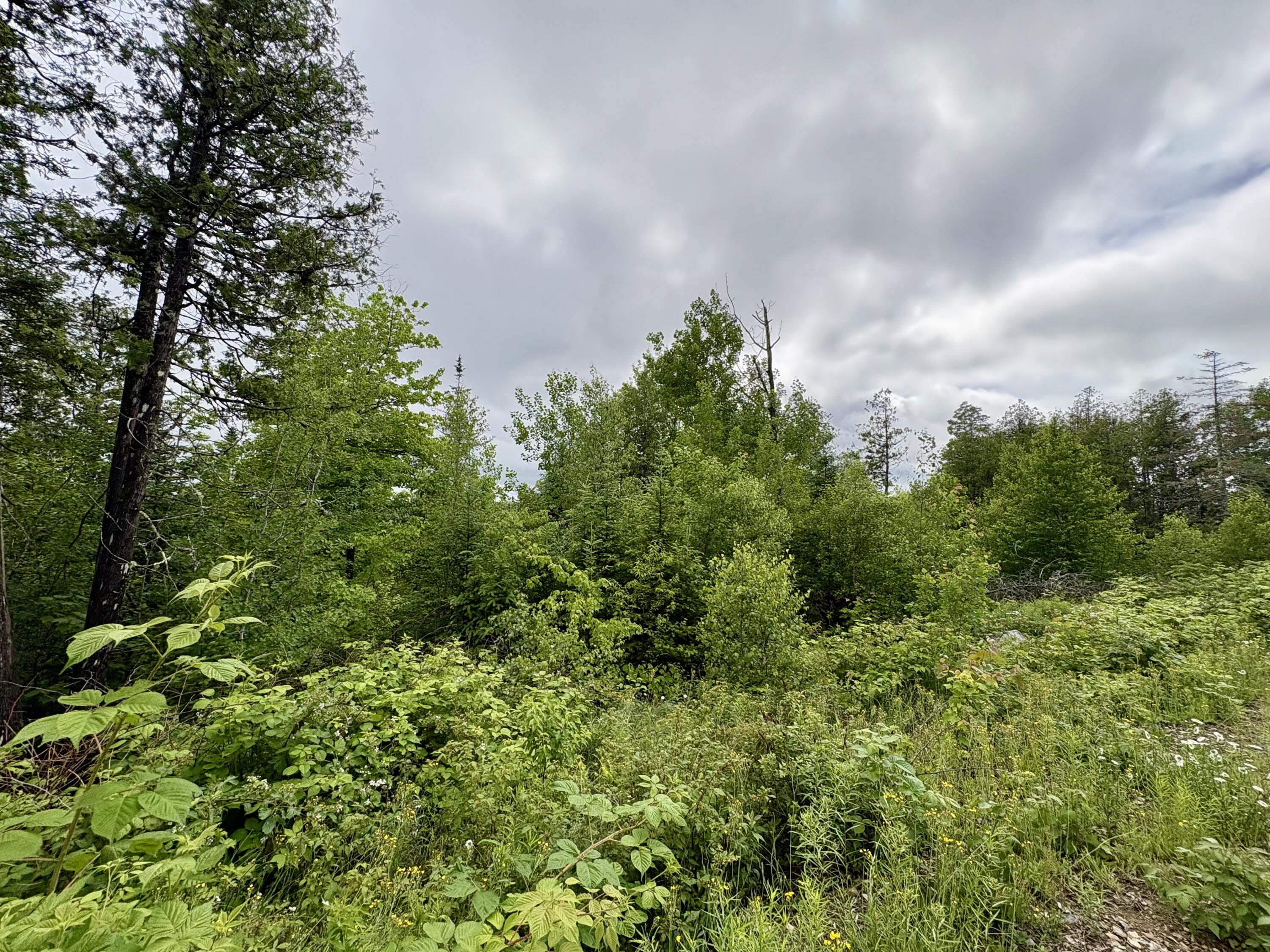Lot 12 Mt. Jefferson Heights Property Photo 12