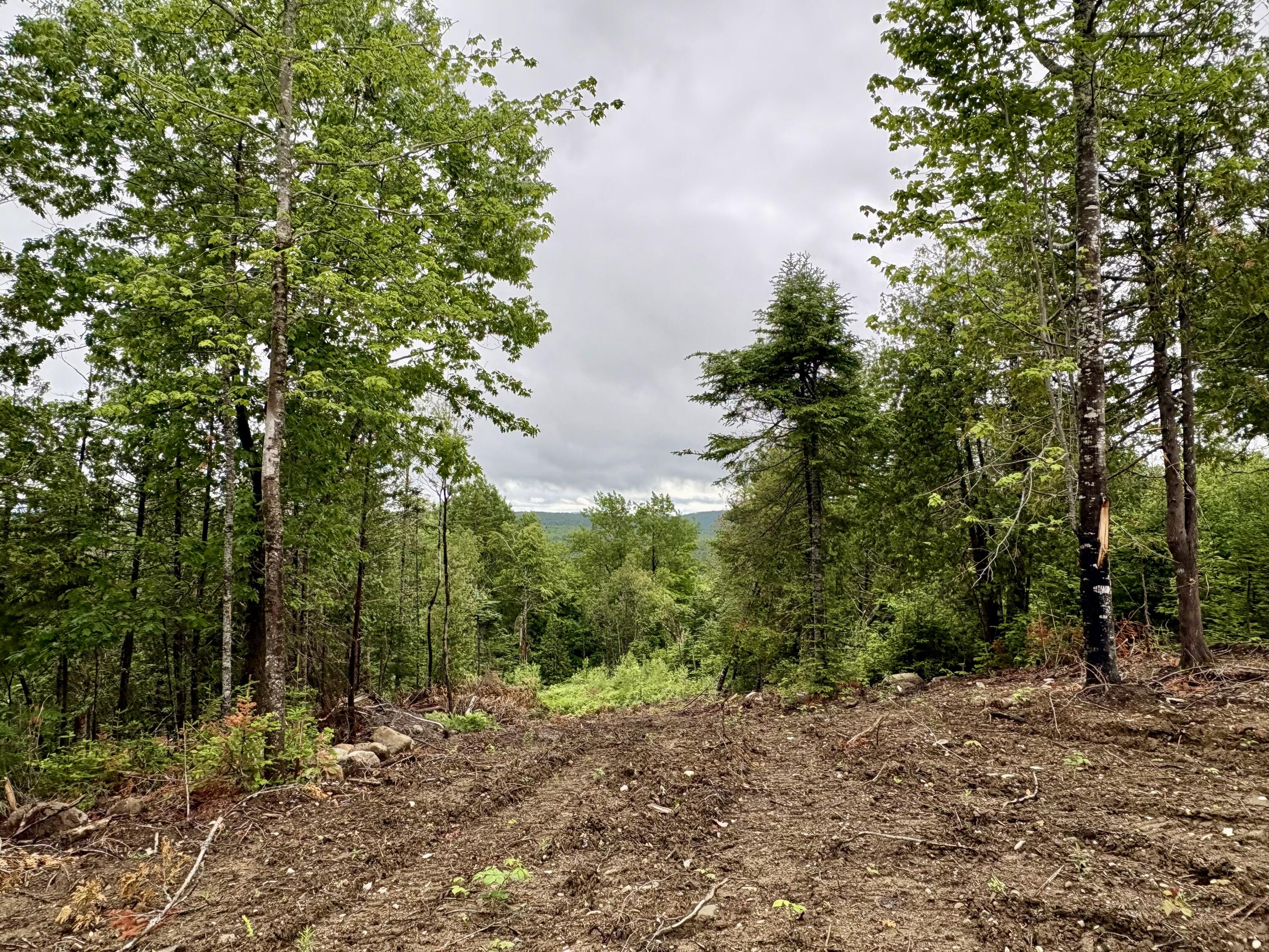 Lot 13 Mt. Jefferson Heights Property Photo 4