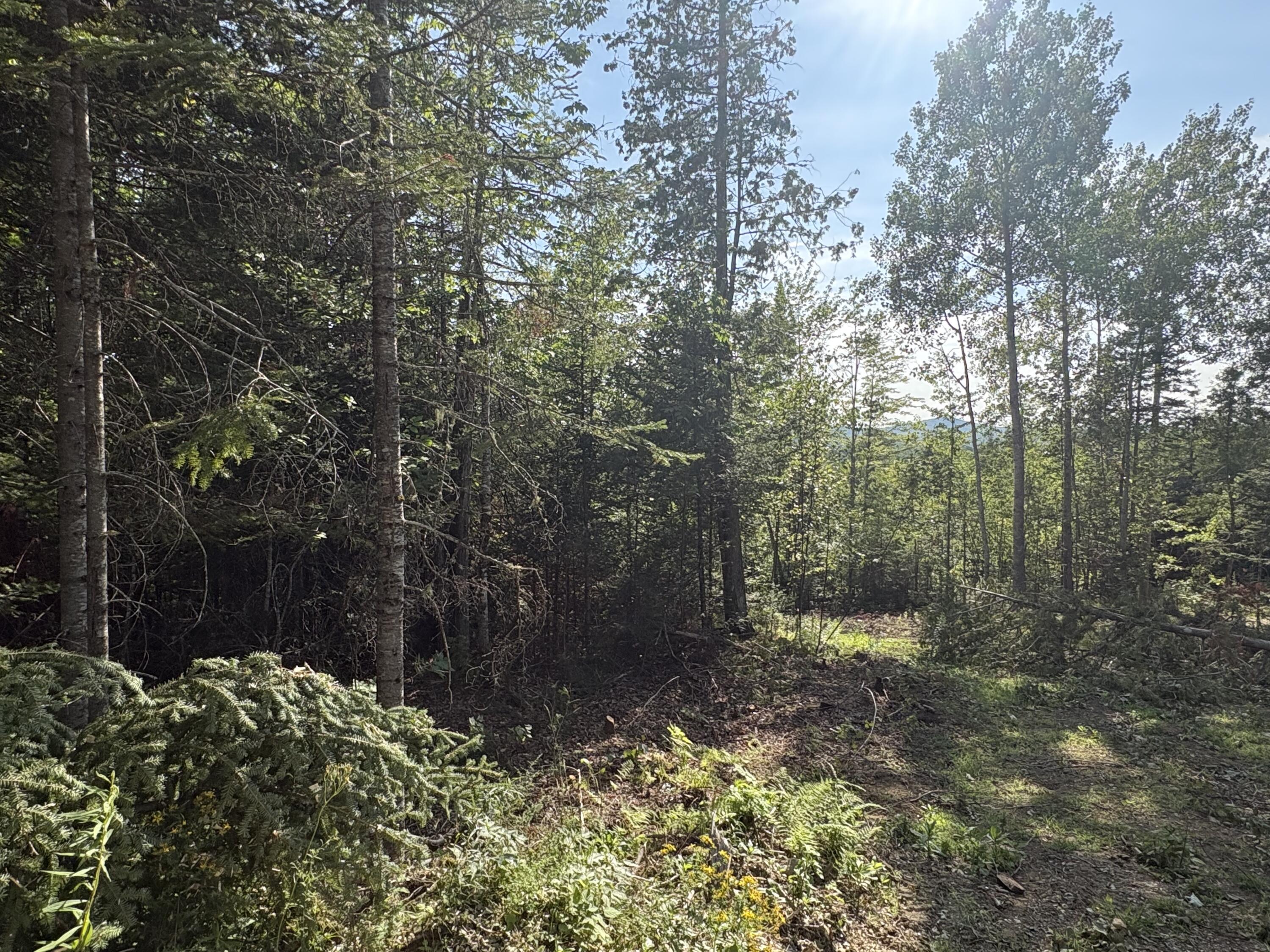 Lot 13 Mt. Jefferson Heights Property Photo 7