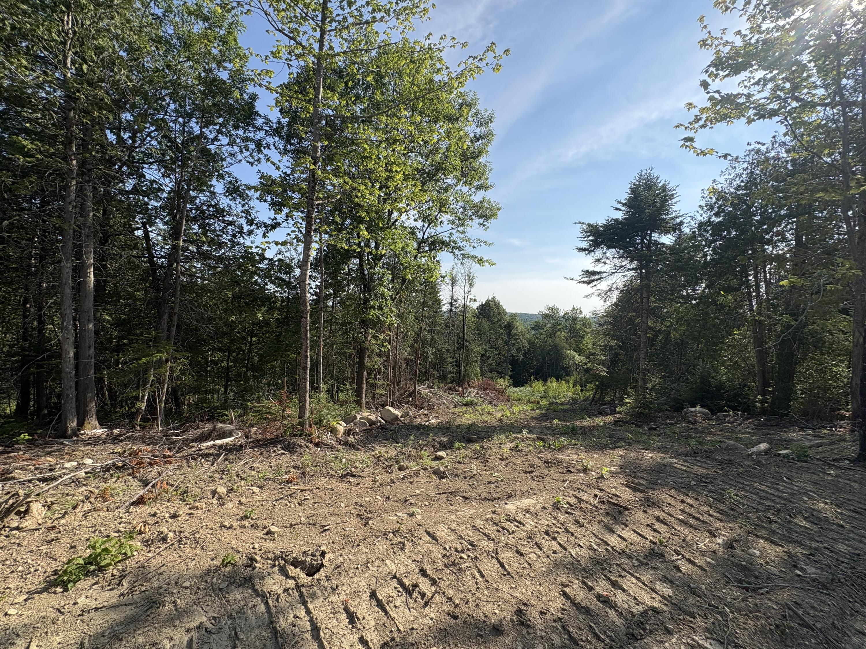 Lot 13 Mt. Jefferson Heights Property Photo 8