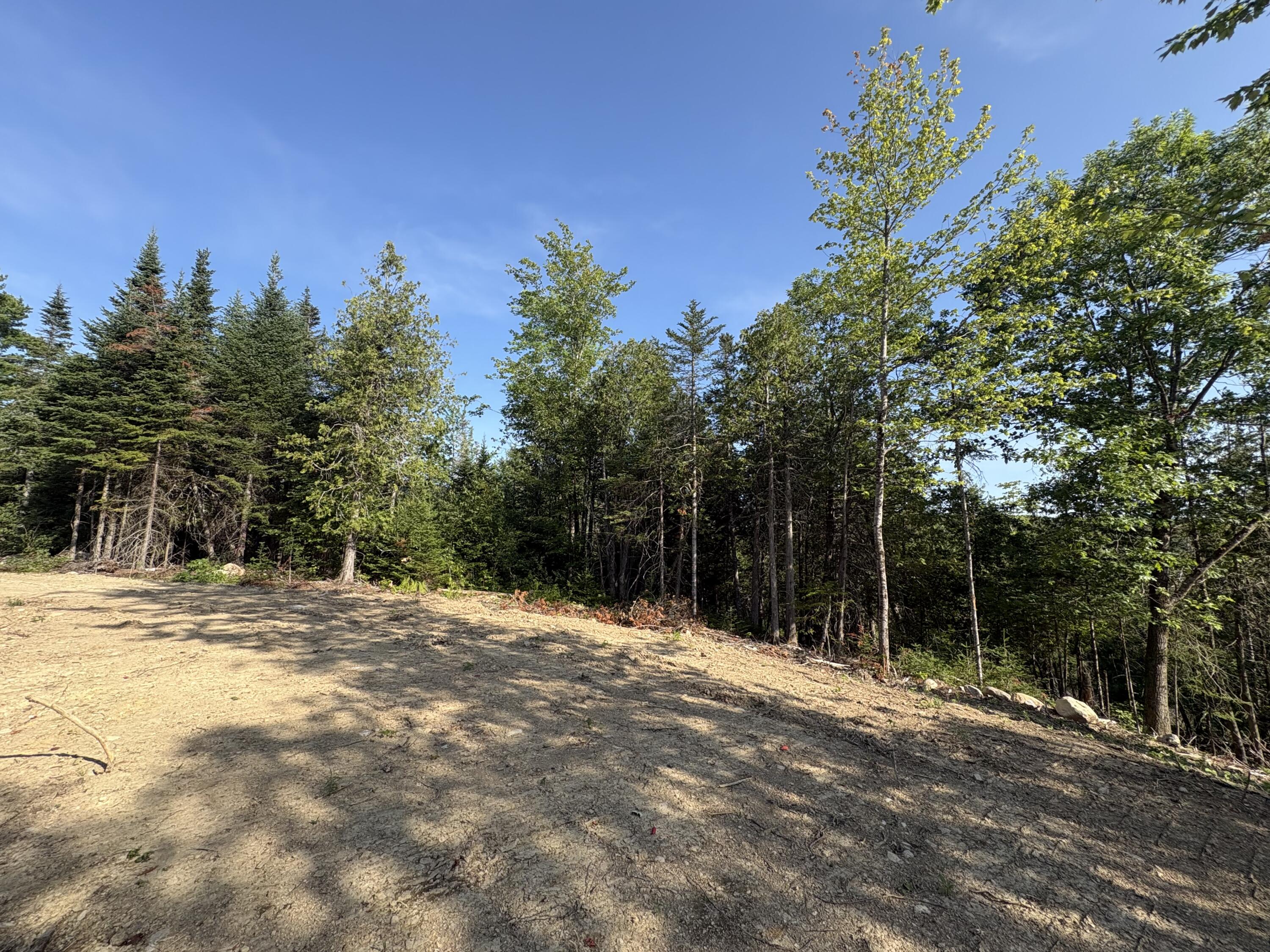 Lot 13 Mt. Jefferson Heights Property Photo 10