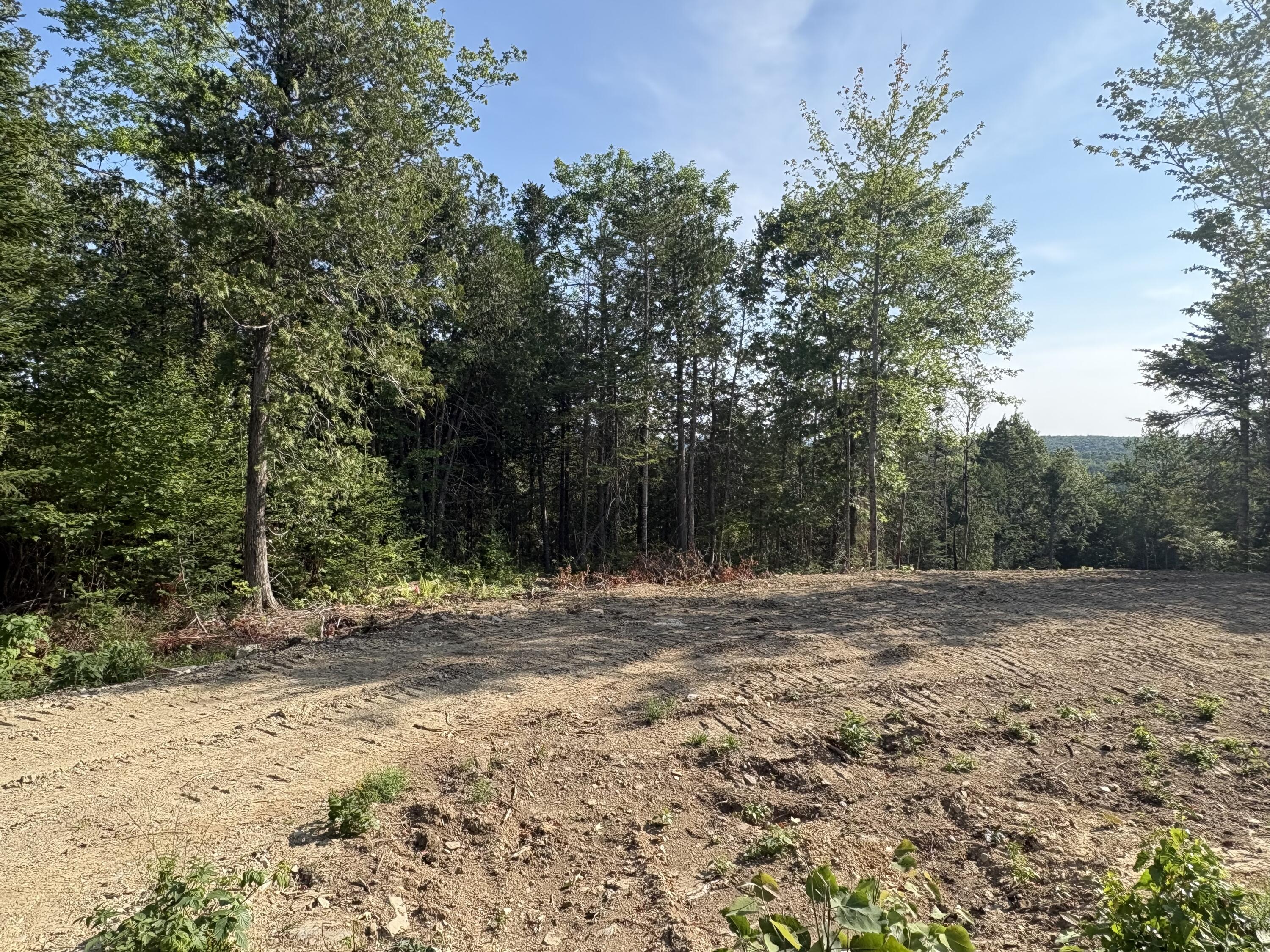 Lot 13 Mt. Jefferson Heights Property Photo 11