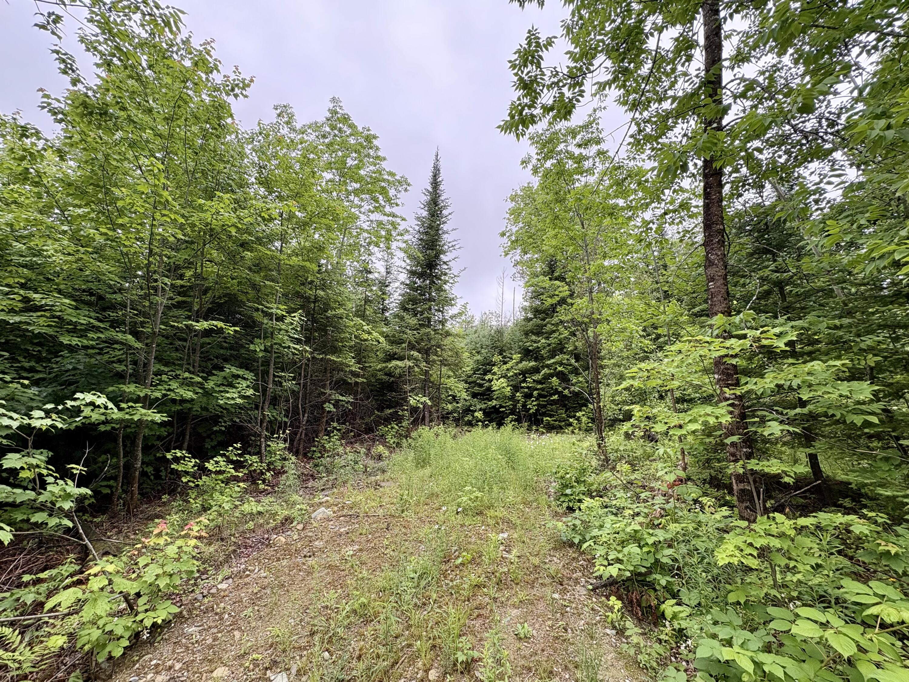 Lot 1 Mt. Jefferson Heights Property Photo 1