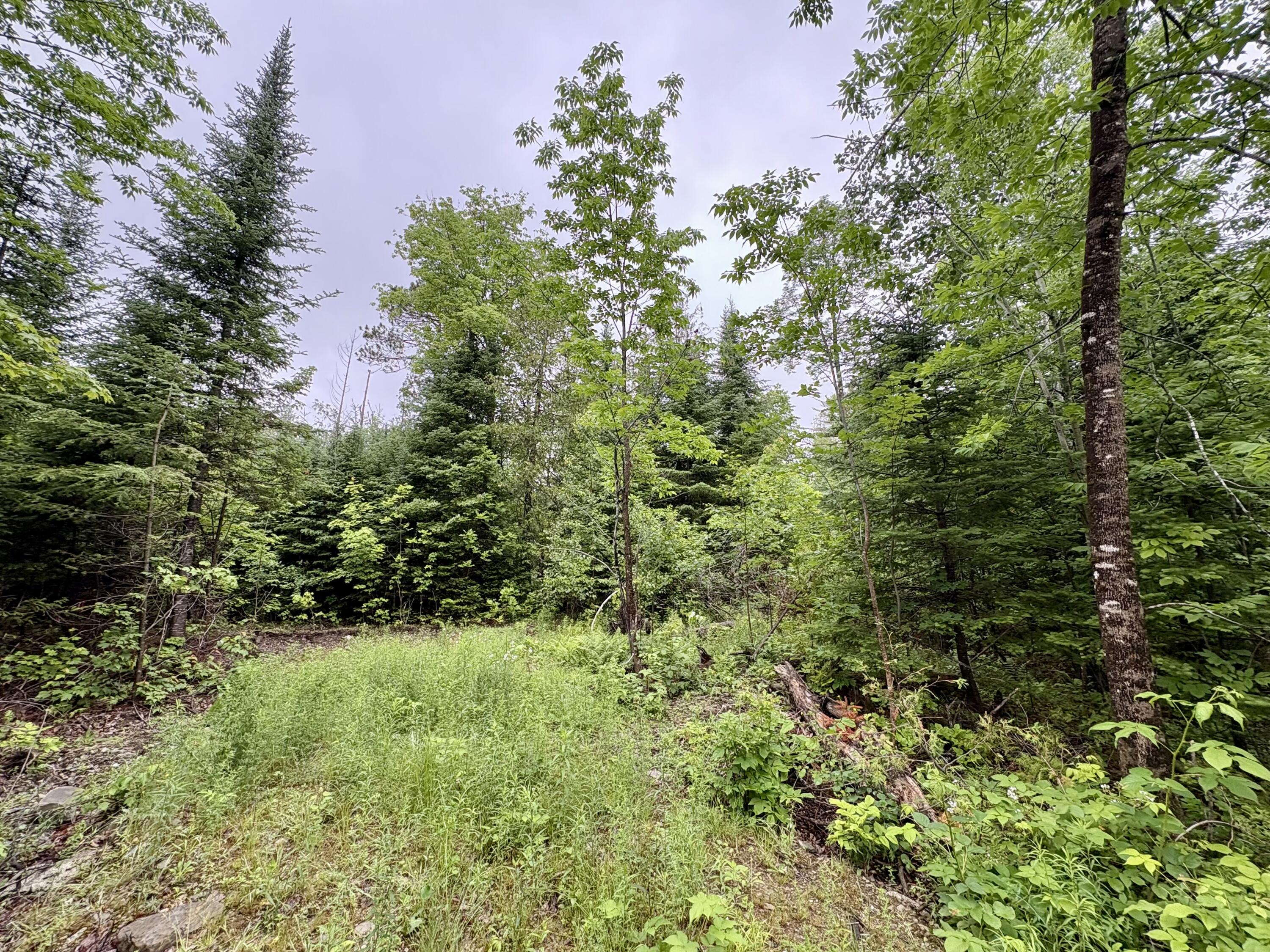 Lot 1 Mt. Jefferson Heights Property Photo 2