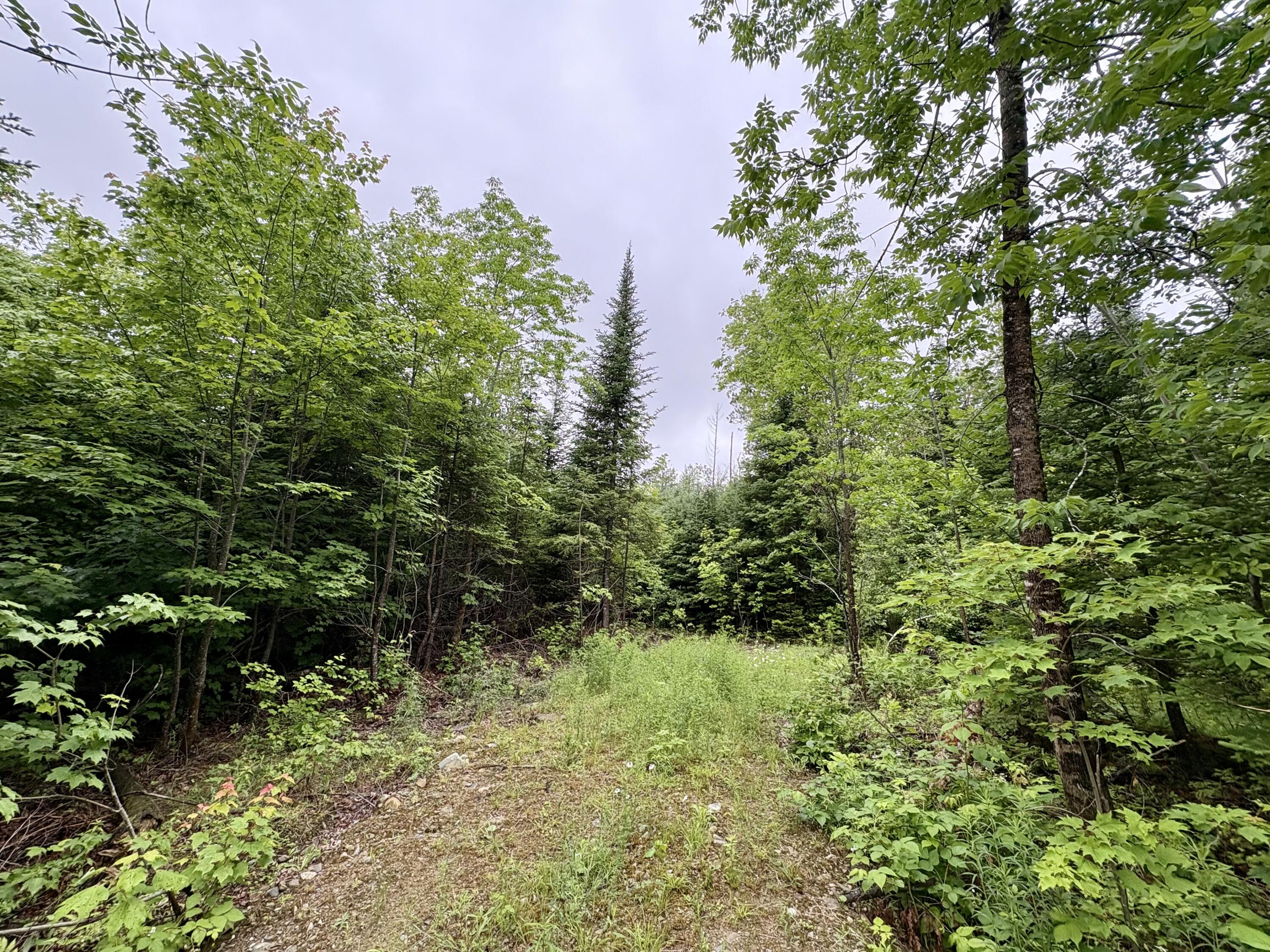 Lot 1 Mt. Jefferson Heights Property Photo 3