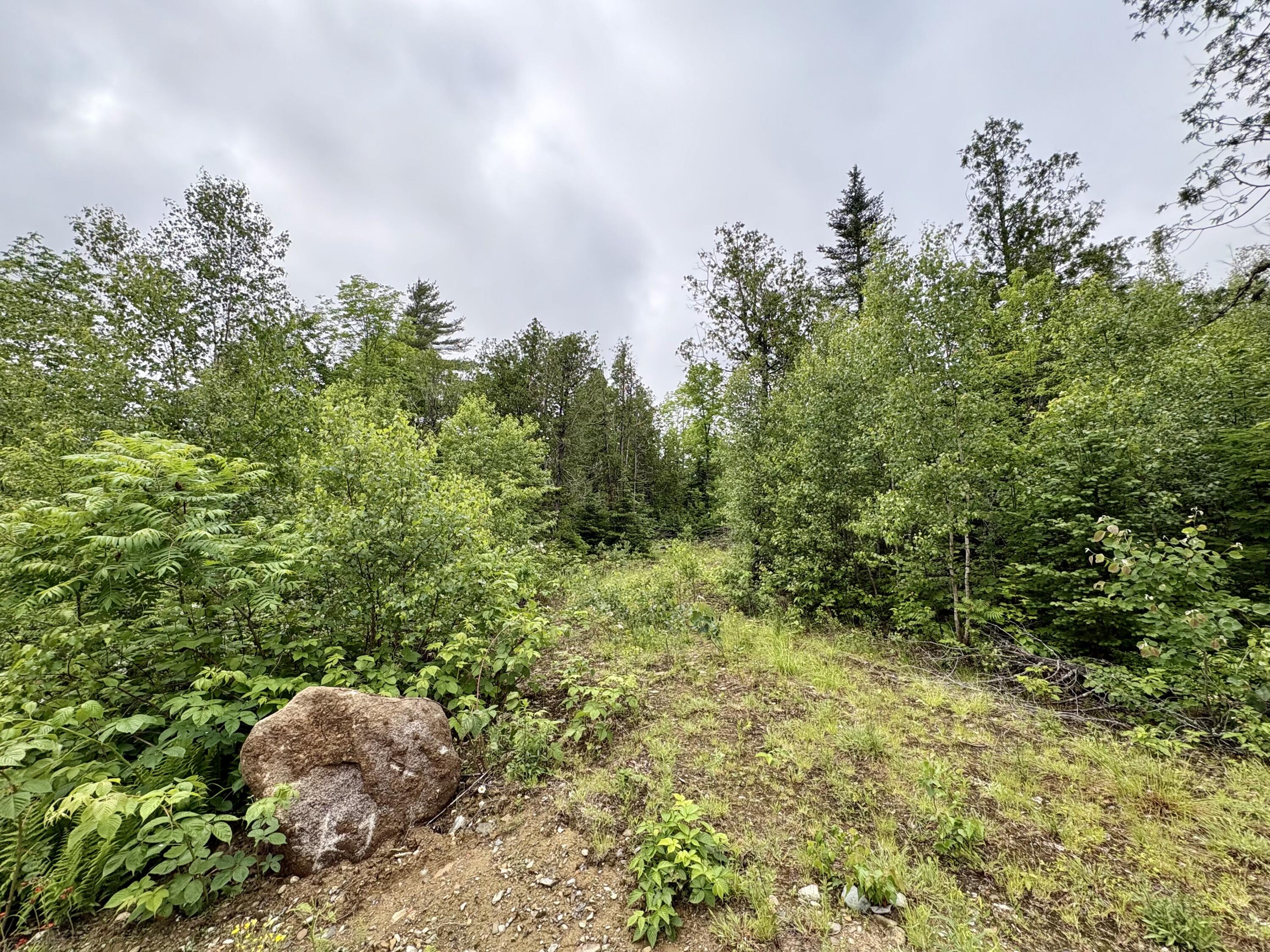 Lot 2 Mt. Jefferson Heights Property Photo 1