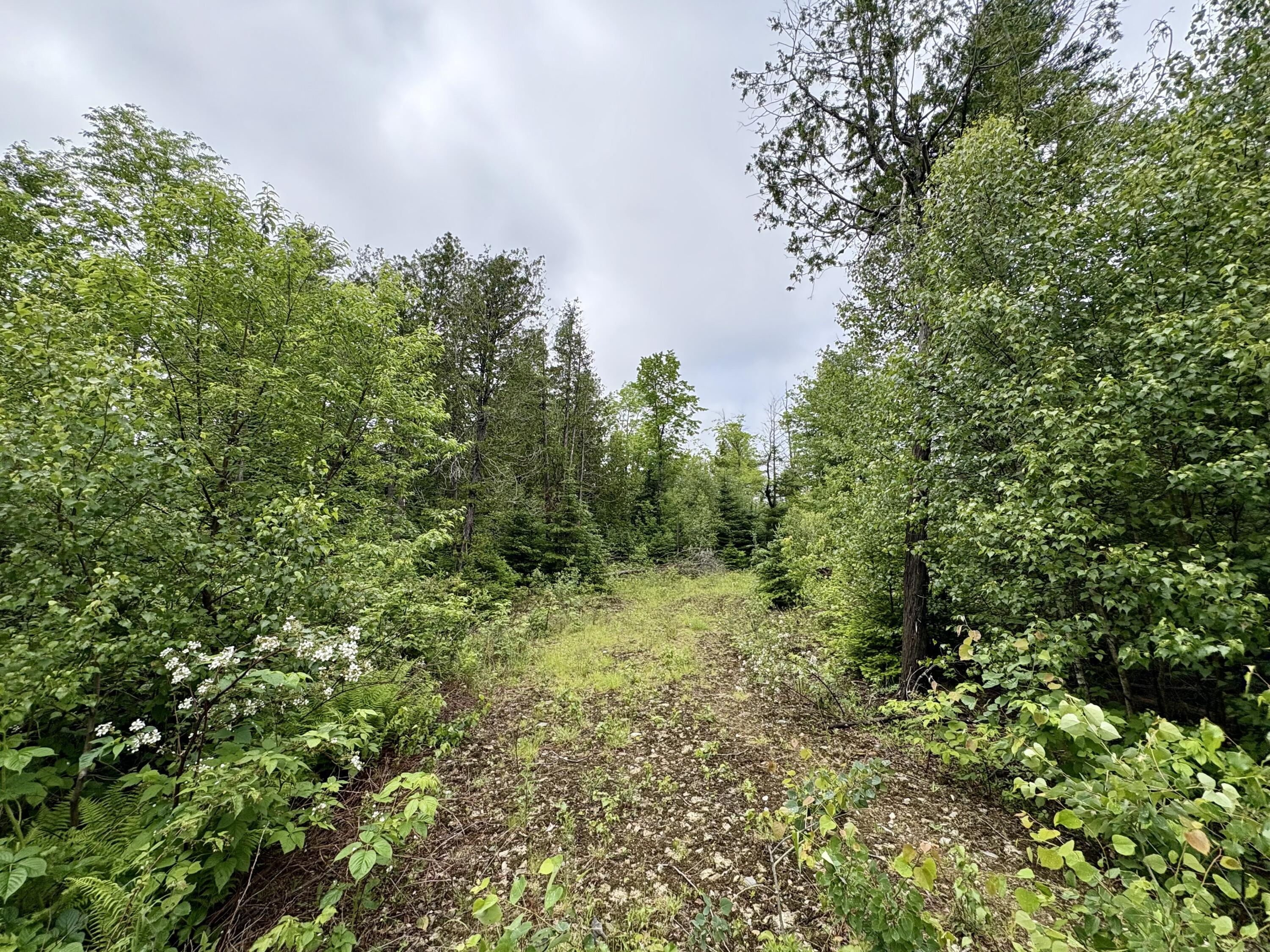 Lot 2 Mt. Jefferson Heights Property Photo 2