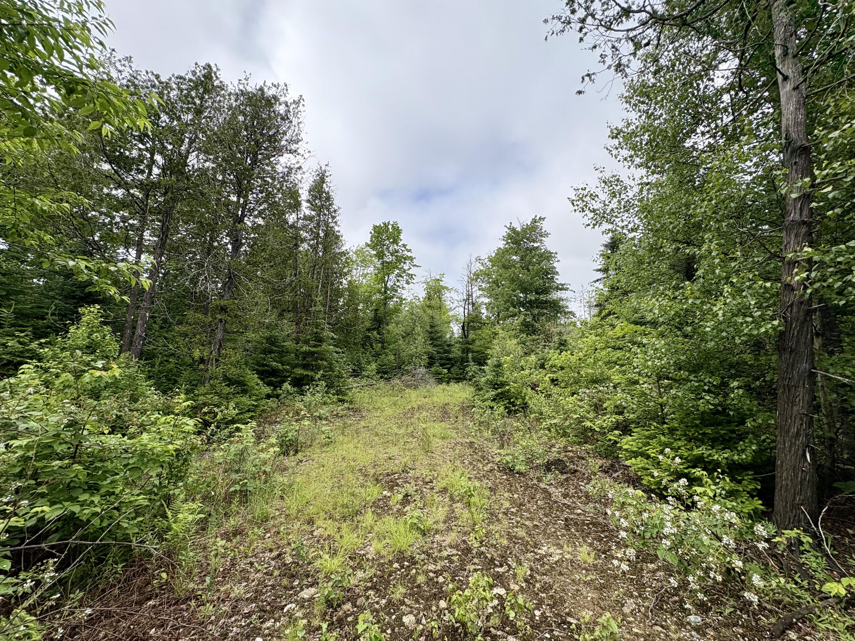 Lot 2 Mt. Jefferson Heights Property Photo 3
