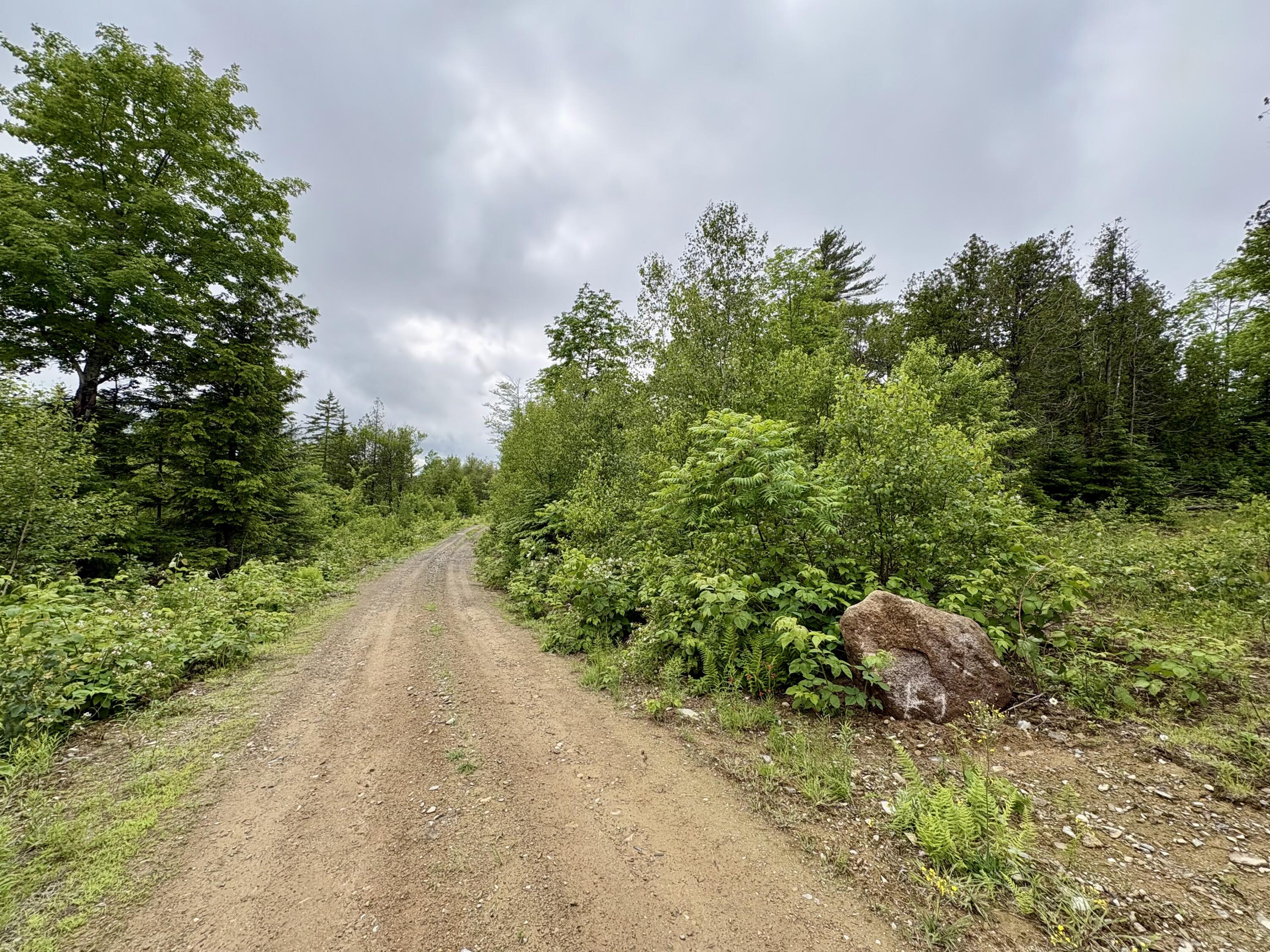 Lot 2 Mt. Jefferson Heights Property Photo 4