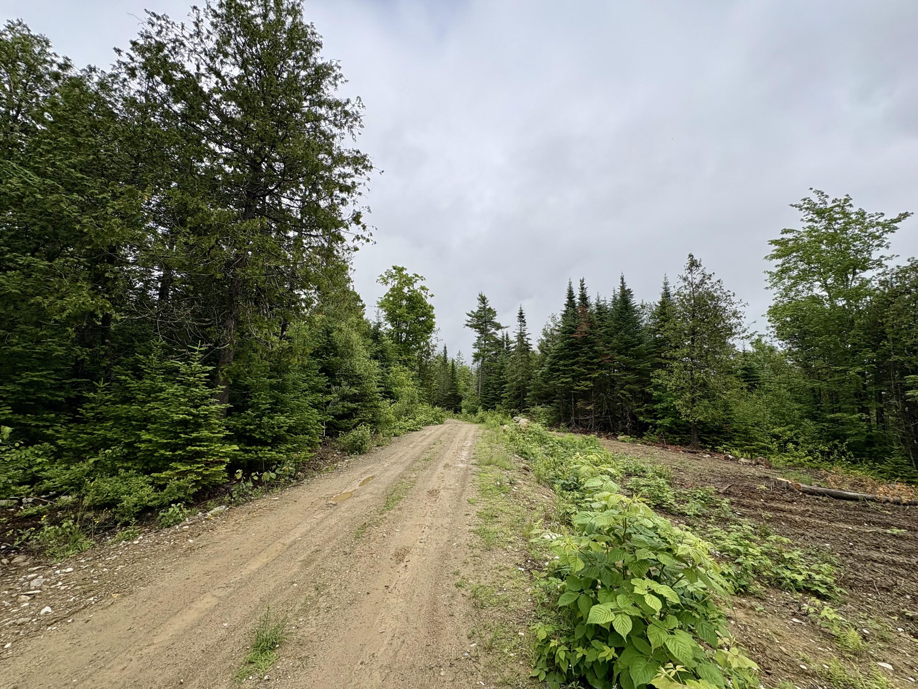 Lot 2 Mt. Jefferson Heights Property Photo 5