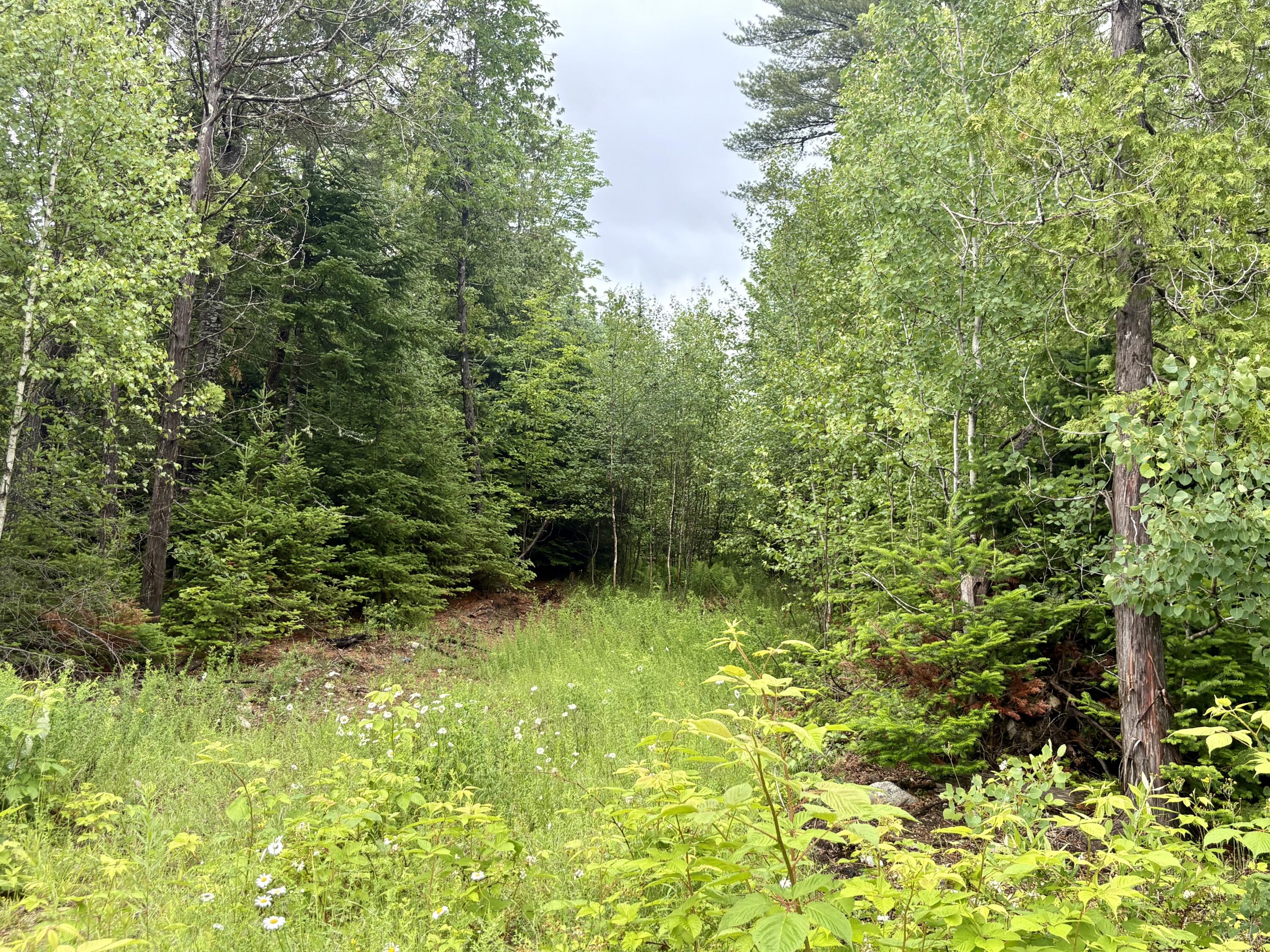 Lot 3 Mt. Jefferson Heights Property Photo 1