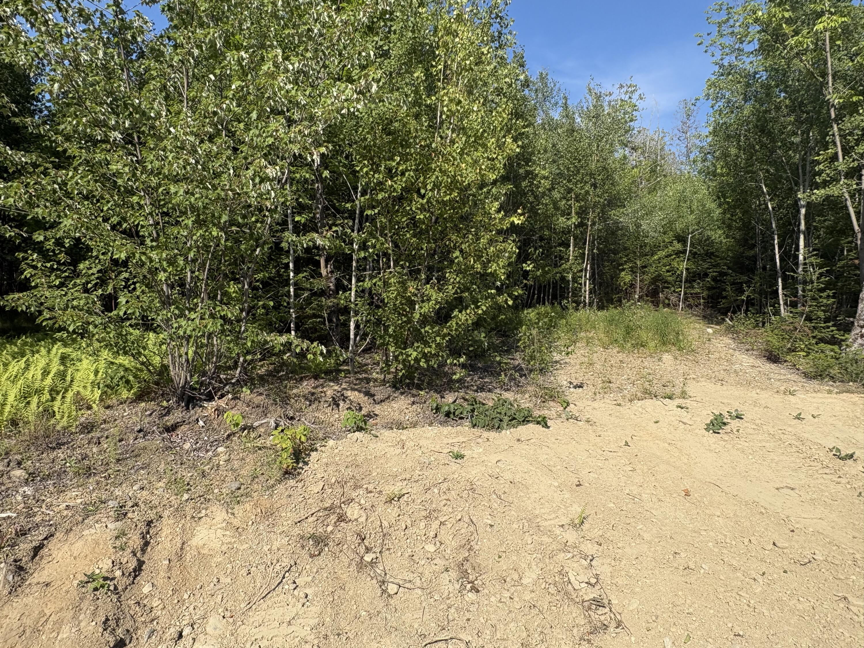 Lot 4 Mt. Jefferson Heights Property Photo 1