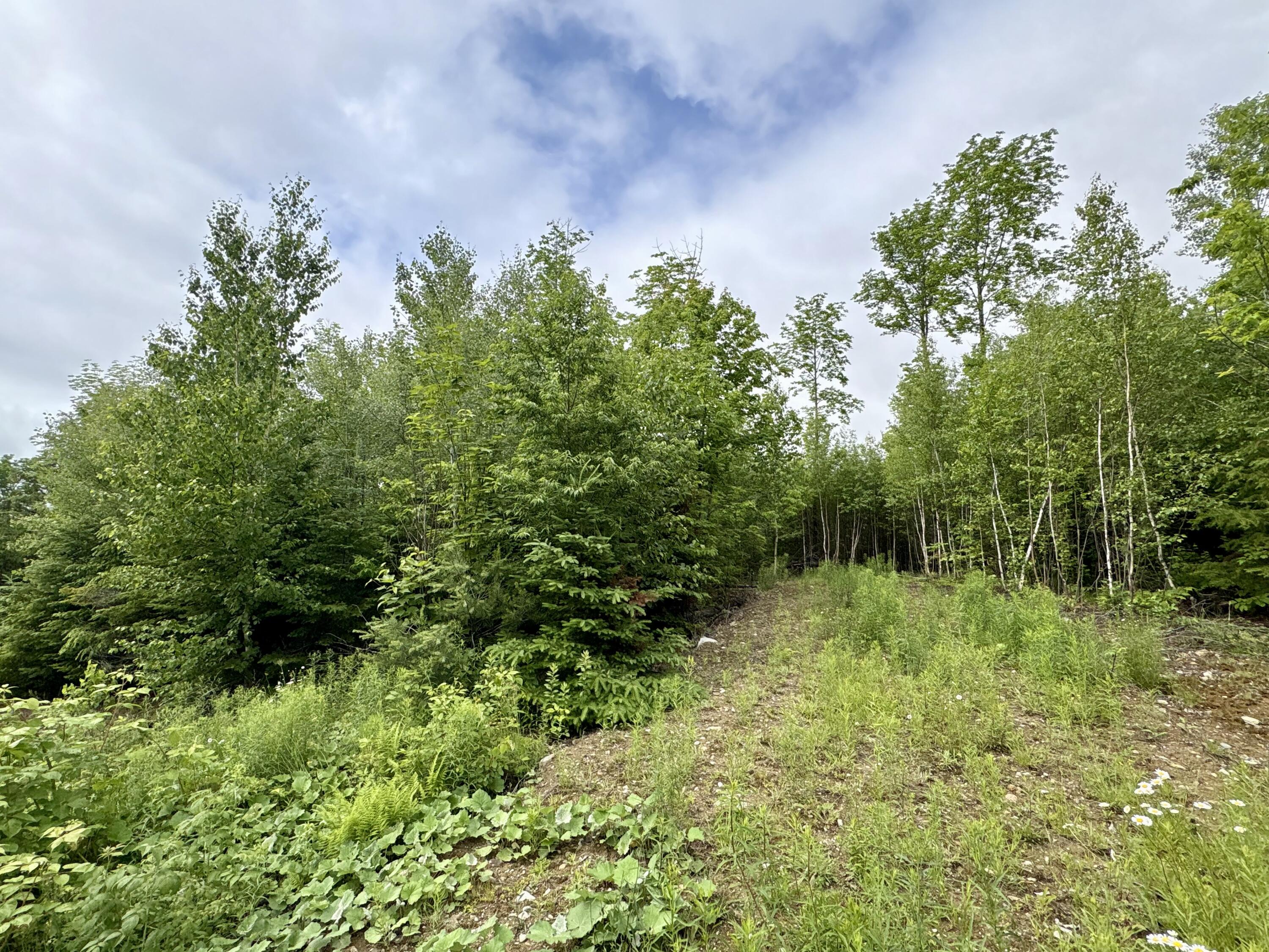 Lot 5 Mt. Jefferson Heights Property Photo 1