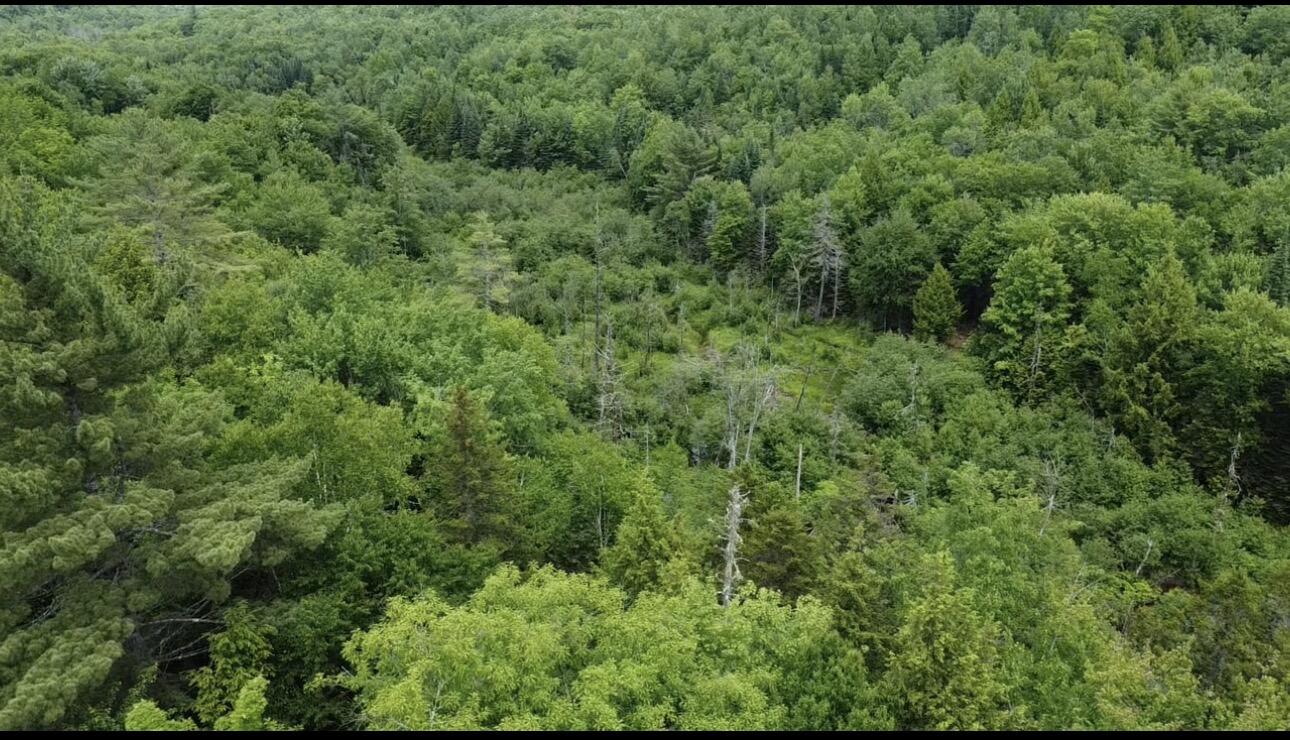 Lot 14 Hanslip Road Property Photo 2