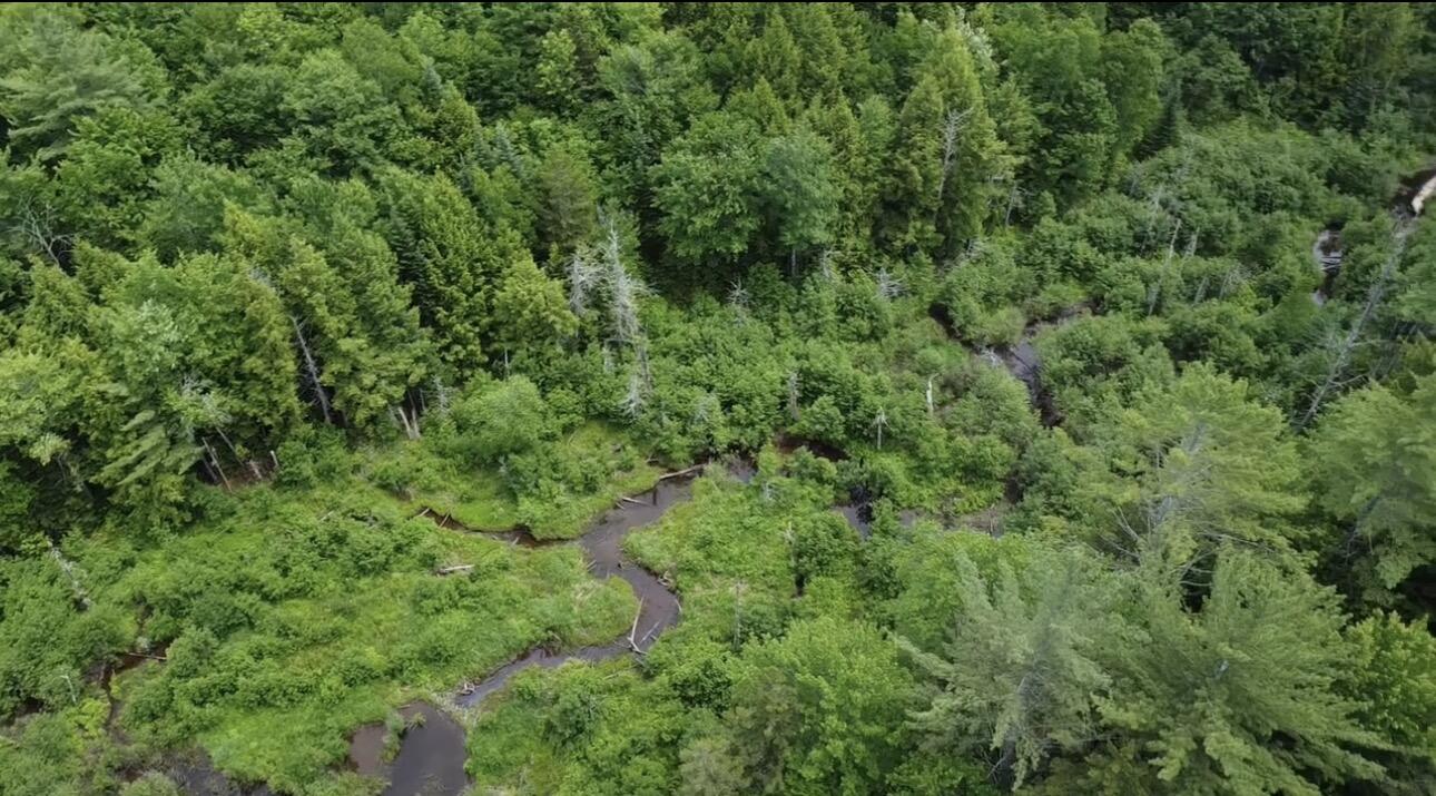 Lot 14 Hanslip Road Property Photo 4