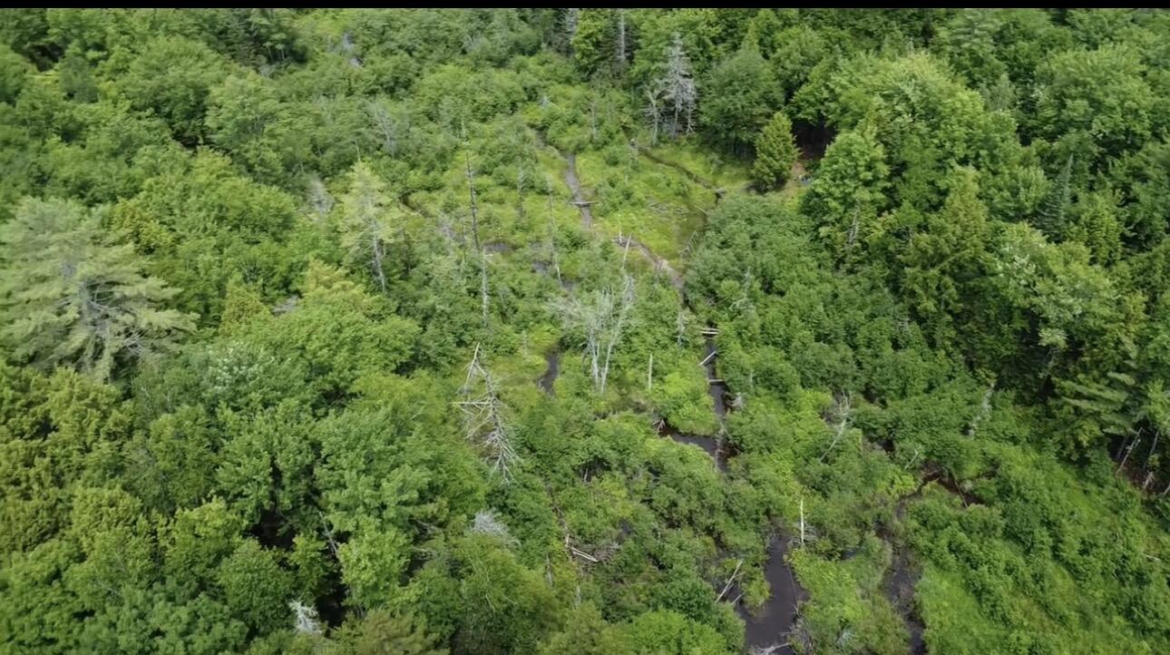 Lot 14 Hanslip Road Property Photo 5