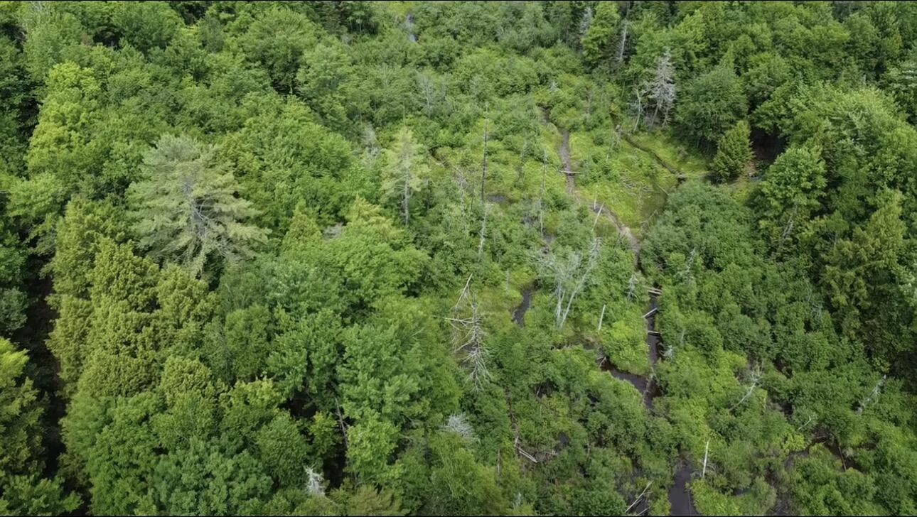 Lot 14 Hanslip Road Property Photo 6