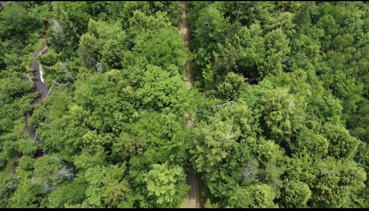 Lot 14 Hanslip Road Property Photo 7